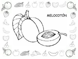 MELOCOTÓN
 