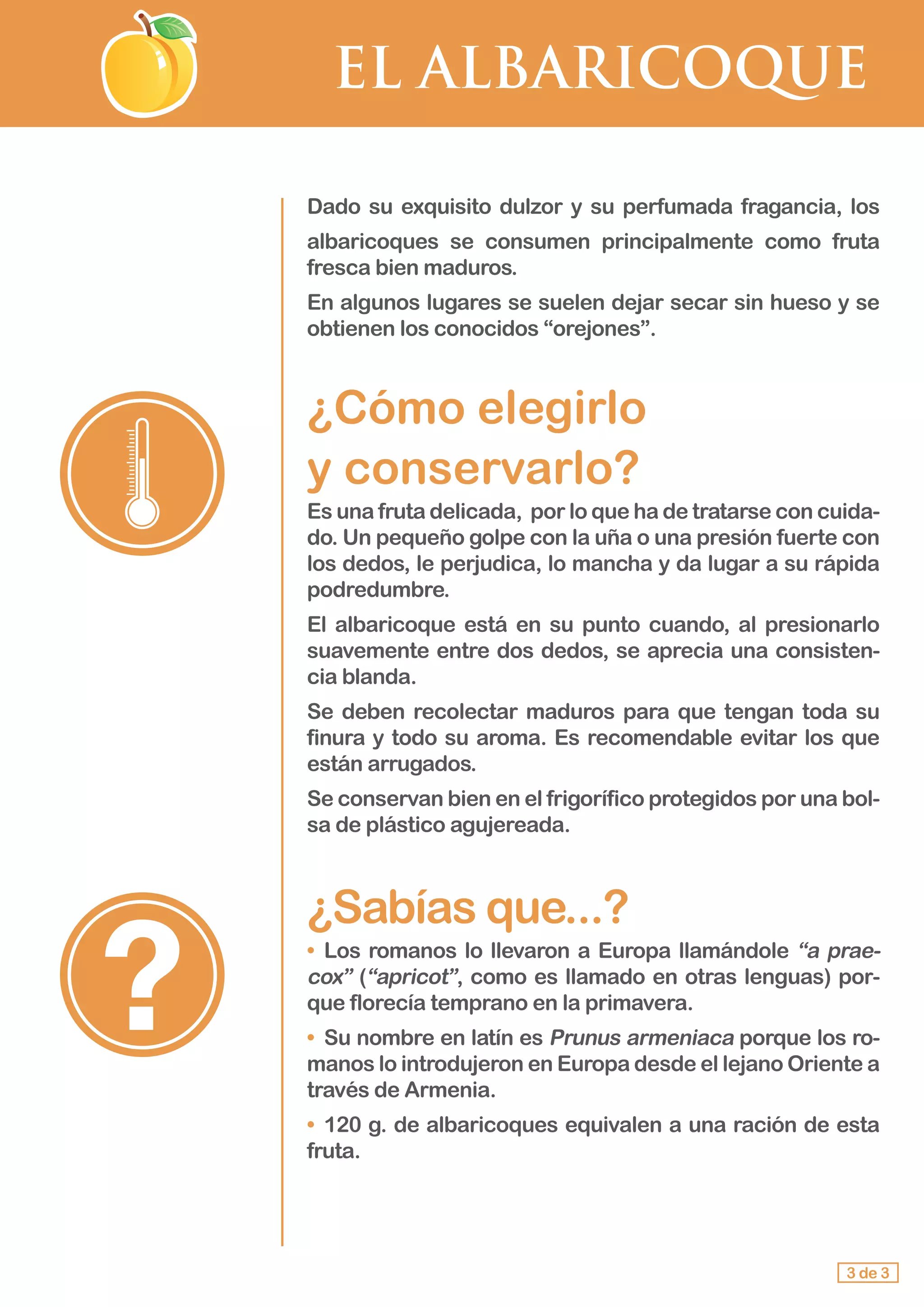 EL ALBARICOQUE
Dado su exquisito dulzor y su perfumada fragancia, los
albaricoques se consumen principalmente como fruta
fresca bien maduros.
En algunos lugares se suelen dejar secar sin hueso y se
obtienen los conocidos “orejones”.
¿Cómo elegirlo
y conservarlo?
Es una fruta delicada, por lo que ha de tratarse con cuida-
do. Un pequeño golpe con la uña o una presión fuerte con
los dedos, le perjudica, lo mancha y da lugar a su rápida
podredumbre.
El albaricoque está en su punto cuando, al presionarlo
suavemente entre dos dedos, se aprecia una consisten-
cia blanda.
Se deben recolectar maduros para que tengan toda su
finura y todo su aroma. Es recomendable evitar los que
están arrugados.
Se conservan bien en el frigorífico protegidos por una bol-
sa de plástico agujereada.
¿Sabías que...?
•	 Los romanos lo llevaron a Europa llamándole “a prae-
cox” (“apricot”, como es llamado en otras lenguas) por-
que florecía temprano en la primavera.
•	 Su nombre en latín es Prunus armeniaca porque los ro-
manos lo introdujeron en Europa desde el lejano Oriente a
través de Armenia.
•	 120 g. de albaricoques equivalen a una ración de esta
fruta.
3 de 3
 