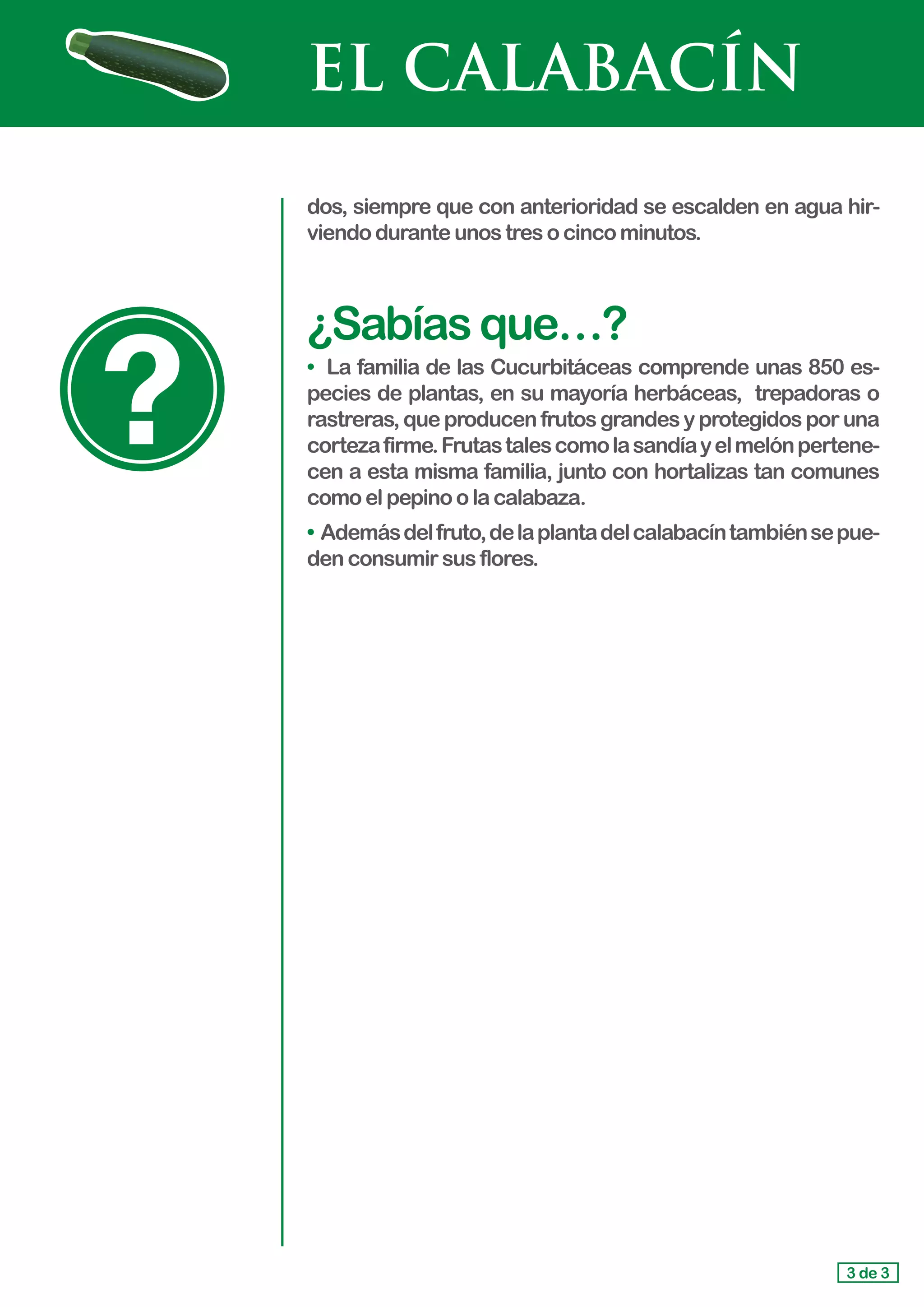 EL CALABACÍN
dos, siempre que con anterioridad se escalden en agua hir-
viendo duranteunostresocincominutos.
¿Sabíasque…?
• La familia de las Cucurbitáceas comprende unas 850 es-
pecies de plantas, en su mayoría herbáceas, trepadoras o
rastreras,queproducenfrutosgrandesyprotegidosporuna
cortezafirme.Frutastalescomolasandíayelmelónpertene-
cen a esta misma familia, junto con hortalizas tan comunes
como elpepinoolacalabaza.
• Ademásdelfruto,delaplantadelcalabacíntambiénsepue-
den consumirsusflores.
3 de 3
 