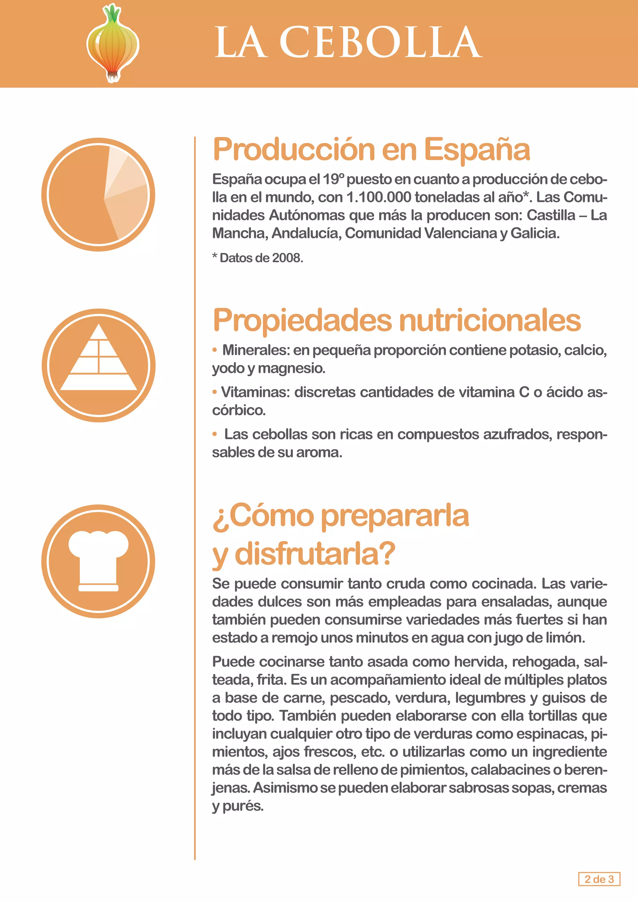 LA CEBOLLA
ProducciónenEspaña
Españaocupael19ºpuestoencuantoaproduccióndecebo-
lla en el mundo, con 1.100.000 toneladas al año*. Las Comu-
nidades Autónomas que más la producen son: Castilla – La
Mancha,Andalucía,ComunidadValencianayGalicia.
*Datosde2008.
Propiedadesnutricionales
• Minerales:enpequeñaproporcióncontienepotasio,calcio,
yodo y magnesio.
• Vitaminas: discretas cantidades de vitamina C o ácido as-
córbico.
•	 Las cebollas son ricas en compuestos azufrados, respon-
sables desuaroma.
¿Cómoprepararla				
ydisfrutarla?
Se puede consumir tanto cruda como cocinada. Las varie-
dades dulces son más empleadas para ensaladas, aunque
también pueden consumirse variedades más fuertes si han
estado a remojounosminutosenaguaconjugodelimón.
Puede cocinarse tanto asada como hervida, rehogada, sal-
teada, frita. Es un acompañamiento ideal de múltiples platos
a base de carne, pescado, verdura, legumbres y guisos de
todo tipo. También pueden elaborarse con ella tortillas que
incluyan cualquier otro tipo de verduras como espinacas, pi-
mientos, ajos frescos, etc. o utilizarlas como un ingrediente
másdelasalsaderellenodepimientos,calabacinesoberen-
jenas.Asimismosepuedenelaborarsabrosassopas,cremas
y purés.
2 de 3
 