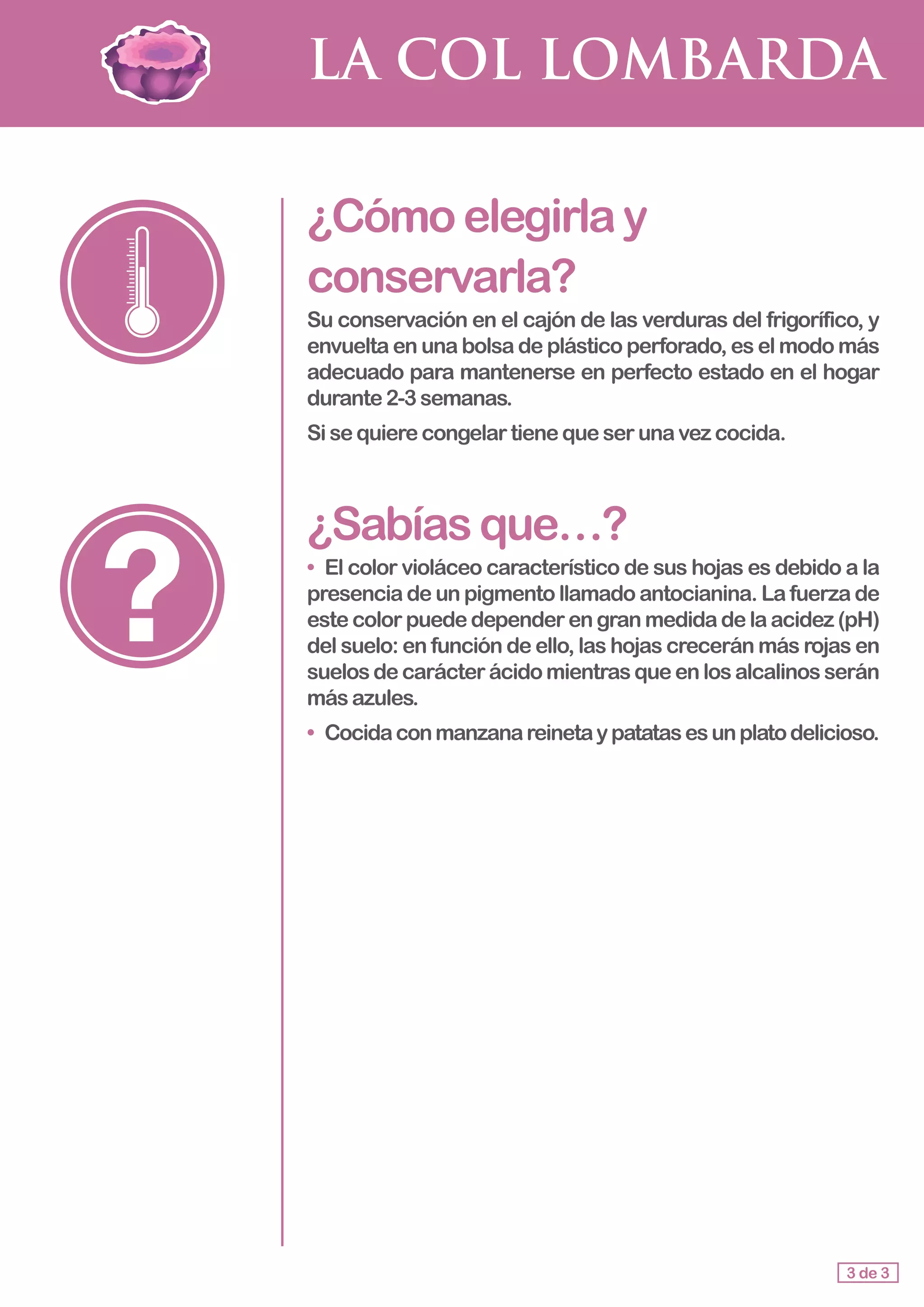 LA COL LOMBARDA
¿Cómoelegirlay
conservarla?
Su conservación en el cajón de las verduras del frigorífico, y
envuelta en una bolsa de plástico perforado, es el modo más
adecuado para mantenerse en perfecto estado en el hogar
durante2-3semanas.
Sisequierecongelartienequeserunavezcocida.
¿Sabíasque…?
•	 El color violáceo característico de sus hojas es debido a la
presencia de un pigmento llamado antocianina. La fuerza de
este color puede depender en gran medida de la acidez (pH)
del suelo: en función de ello, las hojas crecerán más rojas en
suelosdecarácterácidomientrasqueenlosalcalinosserán
más azules.
•	 Cocidaconmanzanareinetaypatatasesunplatodelicioso.
3 de 3
 