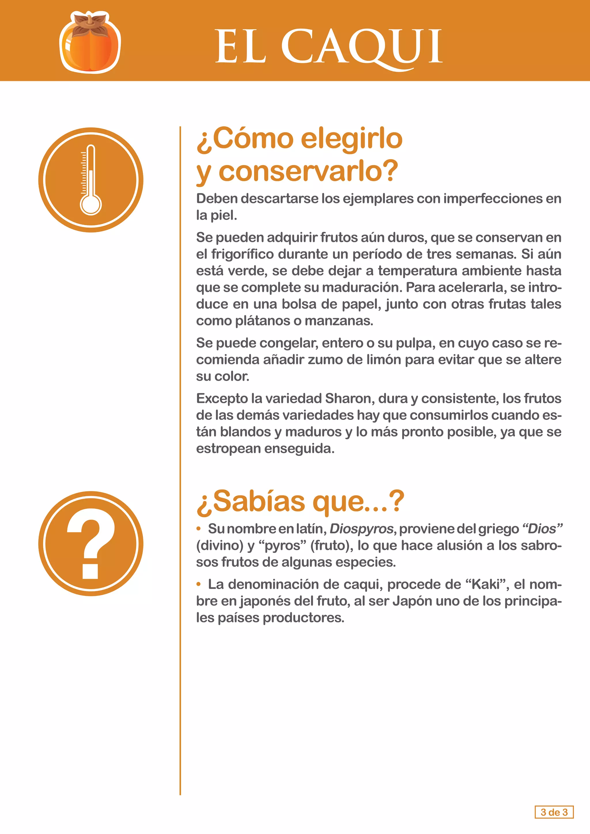 EL CAQUI
¿Cómo elegirlo 					
y conservarlo?
Deben descartarse los ejemplares con imperfecciones en
la piel.
Se pueden adquirir frutos aún duros, que se conservan en
el frigorífico durante un período de tres semanas. Si aún
está verde, se debe dejar a temperatura ambiente hasta
que se complete su maduración. Para acelerarla, se intro-
duce en una bolsa de papel, junto con otras frutas tales
como plátanos o manzanas.
Se puede congelar, entero o su pulpa, en cuyo caso se re-
comienda añadir zumo de limón para evitar que se altere
su color.
Excepto la variedad Sharon, dura y consistente, los frutos
de las demás variedades hay que consumirlos cuando es-
tán blandos y maduros y lo más pronto posible, ya que se
estropean enseguida.
¿Sabías que...?
•	 Sunombreenlatín,Diospyros,provienedelgriego“Dios”
(divino) y “pyros” (fruto), lo que hace alusión a los sabro-
sos frutos de algunas especies.
•	 La denominación de caqui, procede de “Kaki”, el nom-
bre en japonés del fruto, al ser Japón uno de los principa-
les países productores.
3 de 3
 