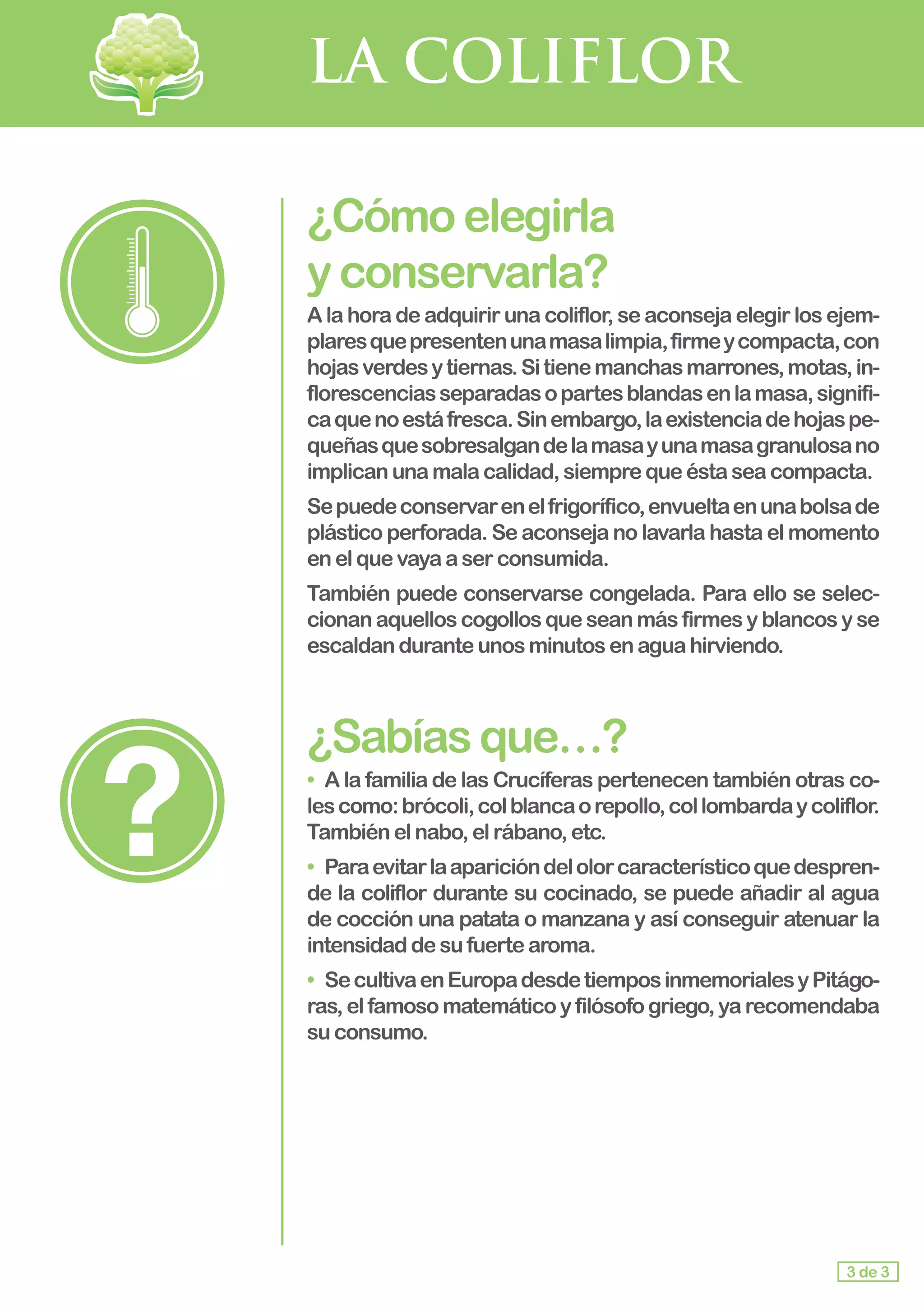 LA COLIFLOR
¿Cómoelegirla					
yconservarla?
A la hora de adquirir una coliflor, se aconseja elegir los ejem-
plaresquepresentenunamasalimpia,firmeycompacta,con
hojasverdesytiernas.Sitienemanchasmarrones,motas,in-
florescenciasseparadasopartesblandasenlamasa,signifi-
caquenoestáfresca.Sinembargo,laexistenciadehojaspe-
queñasquesobresalgandelamasayunamasagranulosano
implican unamalacalidad,siemprequeéstaseacompacta.
Sepuedeconservarenelfrigorífico,envueltaenunabolsade
plástico perforada. Se aconseja no lavarla hasta el momento
en el quevayaaserconsumida.
También puede conservarse congelada. Para ello se selec-
cionan aquellos cogollos que sean más firmes y blancos y se
escaldanduranteunosminutosenaguahirviendo.
¿Sabíasque…?
• 	A la familia de las Crucíferas pertenecen también otras co-
lescomo:brócoli,colblancaorepollo,collombardaycoliflor.
También elnabo,elrábano,etc.
• Paraevitarlaaparicióndelolorcaracterísticoquedespren-
de la coliflor durante su cocinado, se puede añadir al agua
de cocción una patata o manzana y así conseguir atenuar la
intensidaddesufuertearoma.
• 	SecultivaenEuropadesdetiemposinmemorialesyPitágo-
ras, el famoso matemático y filósofo griego, ya recomendaba
su consumo.
3 de 3
 
