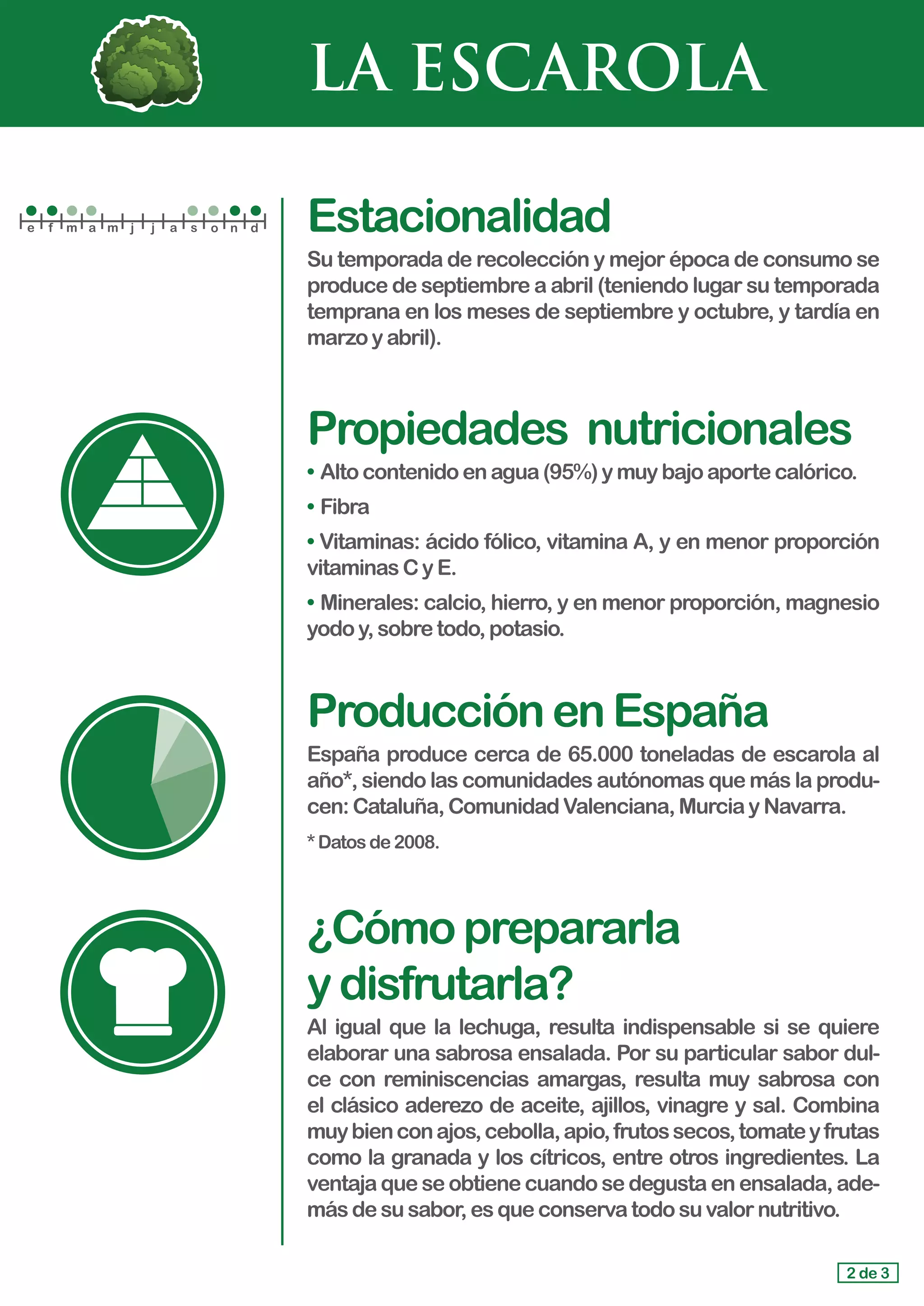 LA ESCAROLA
Estacionalidad
Su temporada de recolección y mejor época de consumo se
produce de septiembre a abril (teniendo lugar su temporada
temprana en los meses de septiembre y octubre, y tardía en
marzo y abril).
Propiedades	 nutricionales
• 	Alto contenidoenagua(95%)ymuybajoaportecalórico.
• 	Fibra
• Vitaminas: ácido fólico, vitamina A, y en menor proporción
vitaminasCyE.
•	Minerales: calcio, hierro, y en menor proporción, magnesio
yodo y,sobretodo,potasio.
ProducciónenEspaña
España produce cerca de 65.000 toneladas de escarola al
año*, siendo las comunidades autónomas que más la produ-
cen:Cataluña,ComunidadValenciana,MurciayNavarra.
*Datosde2008.
¿Cómoprepararla				
ydisfrutarla?
Al igual que la lechuga, resulta indispensable si se quiere
elaborar una sabrosa ensalada. Por su particular sabor dul-
ce con reminiscencias amargas, resulta muy sabrosa con
el clásico aderezo de aceite, ajillos, vinagre y sal. Combina
muybienconajos,cebolla,apio,frutossecos,tomateyfrutas
como la granada y los cítricos, entre otros ingredientes. La
ventaja que se obtiene cuando se degusta en ensalada, ade-
más desusabor,esqueconservatodosuvalornutritivo.
2 de 3
e f m a m j j a s o n d
 