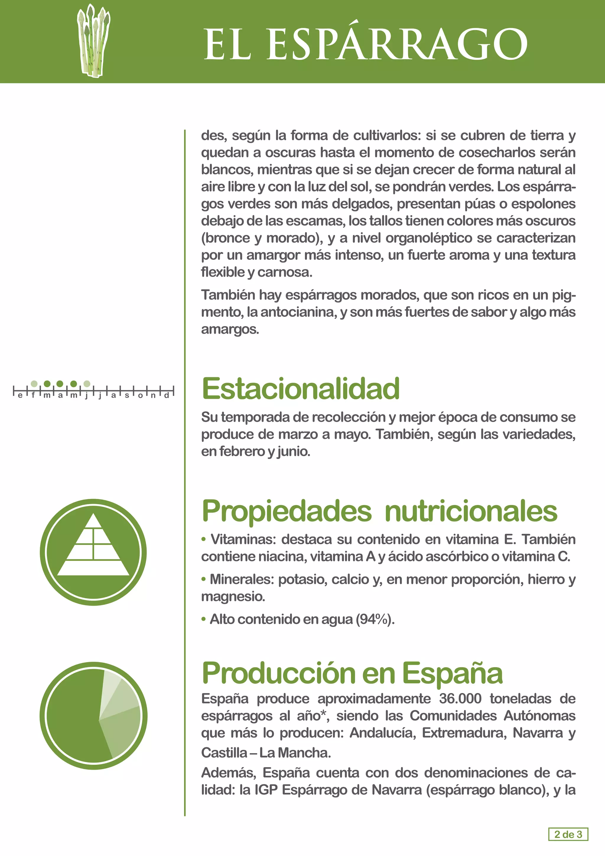 EL ESPÁRRAGO
des, según la forma de cultivarlos: si se cubren de tierra y
quedan a oscuras hasta el momento de cosecharlos serán
blancos, mientras que si se dejan crecer de forma natural al
airelibreyconlaluzdelsol,sepondránverdes.Losespárra-
gos verdes son más delgados, presentan púas o espolones
debajodelasescamas,lostallostienencoloresmásoscuros
(bronce y morado), y a nivel organoléptico se caracterizan
por un amargor más intenso, un fuerte aroma y una textura
flexibley carnosa.
También hay espárragos morados, que son ricos en un pig-
mento,laantocianina,ysonmásfuertesdesaboryalgomás
amargos.
Estacionalidad
Su temporada de recolección y mejor época de consumo se
produce de marzo a mayo. También, según las variedades,
en febreroyjunio.
Propiedades	 nutricionales
• Vitaminas: destaca su contenido en vitamina E. También
contieneniacina,vitaminaAyácidoascórbicoovitaminaC.
•	Minerales: potasio, calcio y, en menor proporción, hierro y
magnesio.
• 	Alto contenidoenagua(94%).
ProducciónenEspaña
España produce aproximadamente 36.000 toneladas de
espárragos al año*, siendo las Comunidades Autónomas
que más lo producen: Andalucía, Extremadura, Navarra y
Castilla– LaMancha.
Además, España cuenta con dos denominaciones de ca-
lidad: la IGP Espárrago de Navarra (espárrago blanco), y la
2 de 3
e f m a m j j a s o n d
 