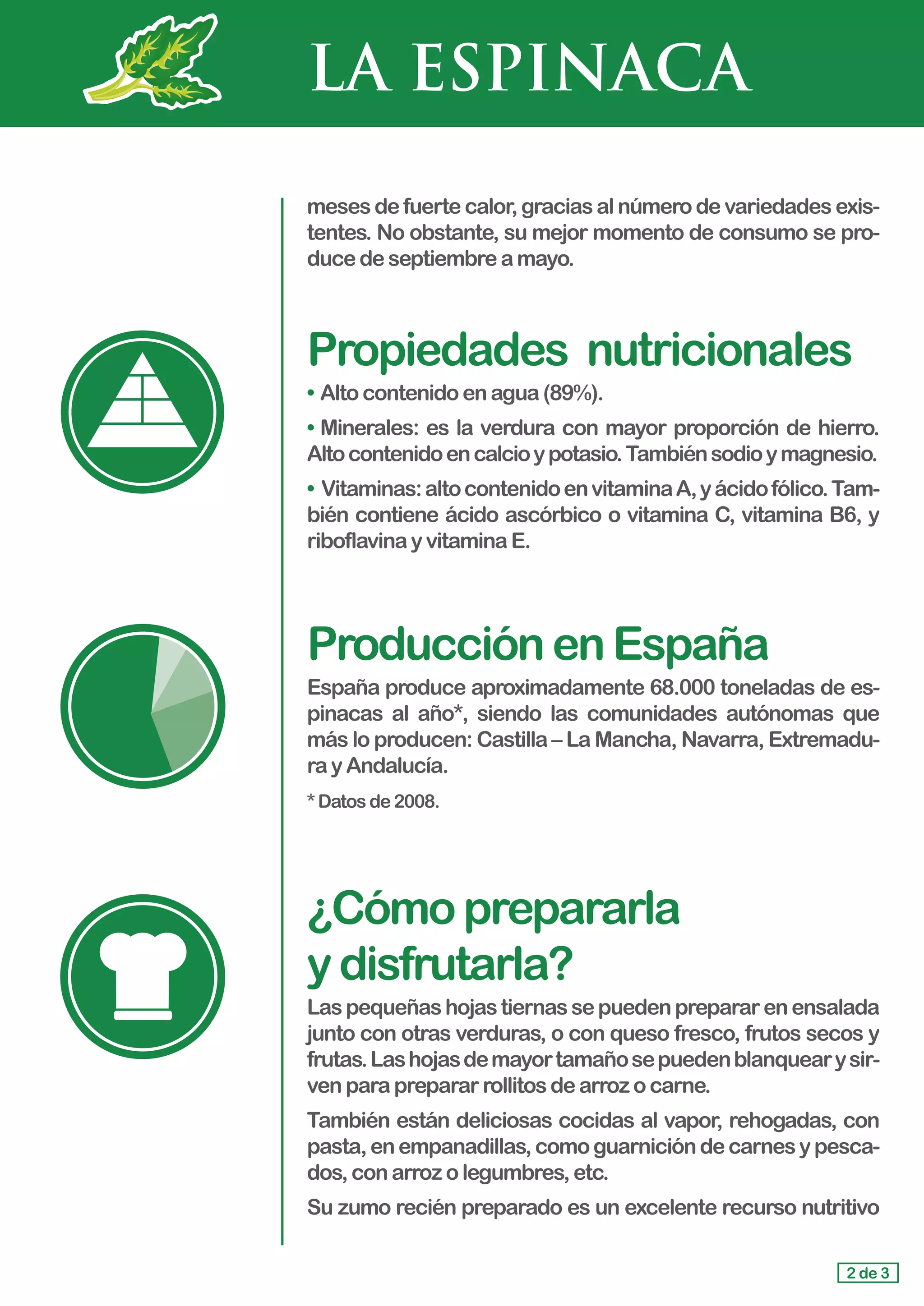 LA ESPINACA
meses de fuerte calor, gracias al número de variedades exis-
tentes. No obstante, su mejor momento de consumo se pro-
duce de septiembreamayo.
Propiedades	 nutricionales
• 	Alto contenidoenagua(89%).
•	Minerales: es la verdura con mayor proporción de hierro.
Altocontenidoencalcioypotasio.Tambiénsodioymagnesio.
• Vitaminas:altocontenidoenvitaminaA,yácidofólico.Tam-
bién contiene ácido ascórbico o vitamina C, vitamina B6, y
riboflavinayvitaminaE.
ProducciónenEspaña
España produce aproximadamente 68.000 toneladas de es-
pinacas al año*, siendo las comunidades autónomas que
más lo producen: Castilla – La Mancha, Navarra, Extremadu-
ray Andalucía.
*Datosde2008.
¿Cómoprepararla				
ydisfrutarla?
Laspequeñashojastiernassepuedenprepararenensalada
junto con otras verduras, o con queso fresco, frutos secos y
frutas.Lashojasdemayortamañosepuedenblanquearysir-
ven paraprepararrollitosdearrozocarne.
También están deliciosas cocidas al vapor, rehogadas, con
pasta,enempanadillas,comoguarnicióndecarnesypesca-
dos,con arrozolegumbres,etc.
Su zumo recién preparado es un excelente recurso nutritivo
2 de 3
 