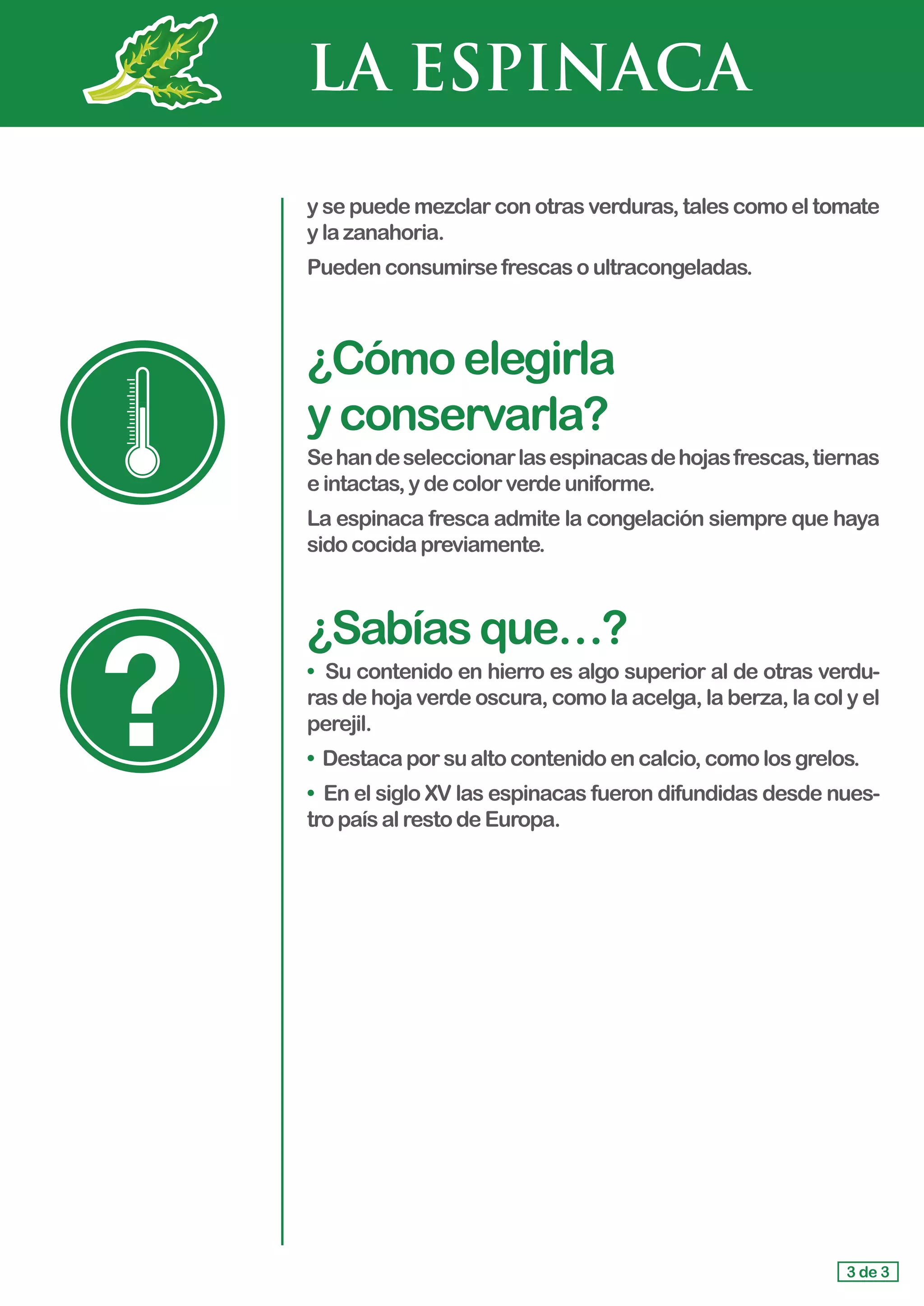 LA ESPINACA
y se puede mezclar con otras verduras, tales como el tomate
y lazanahoria.
Pueden consumirsefrescasoultracongeladas.
¿Cómoelegirla 			
yconservarla?
Sehandeseleccionarlasespinacasdehojasfrescas,tiernas
eintactas,ydecolorverdeuniforme.
La espinaca fresca admite la congelación siempre que haya
sido cocidapreviamente.
¿Sabíasque…?
• Su contenido en hierro es algo superior al de otras verdu-
ras de hoja verde oscura, como la acelga, la berza, la col y el
perejil.
• Destacaporsualtocontenidoencalcio,comolosgrelos.
• En el siglo XV las espinacas fueron difundidas desde nues-
tro país alrestodeEuropa.
3 de 3
 
