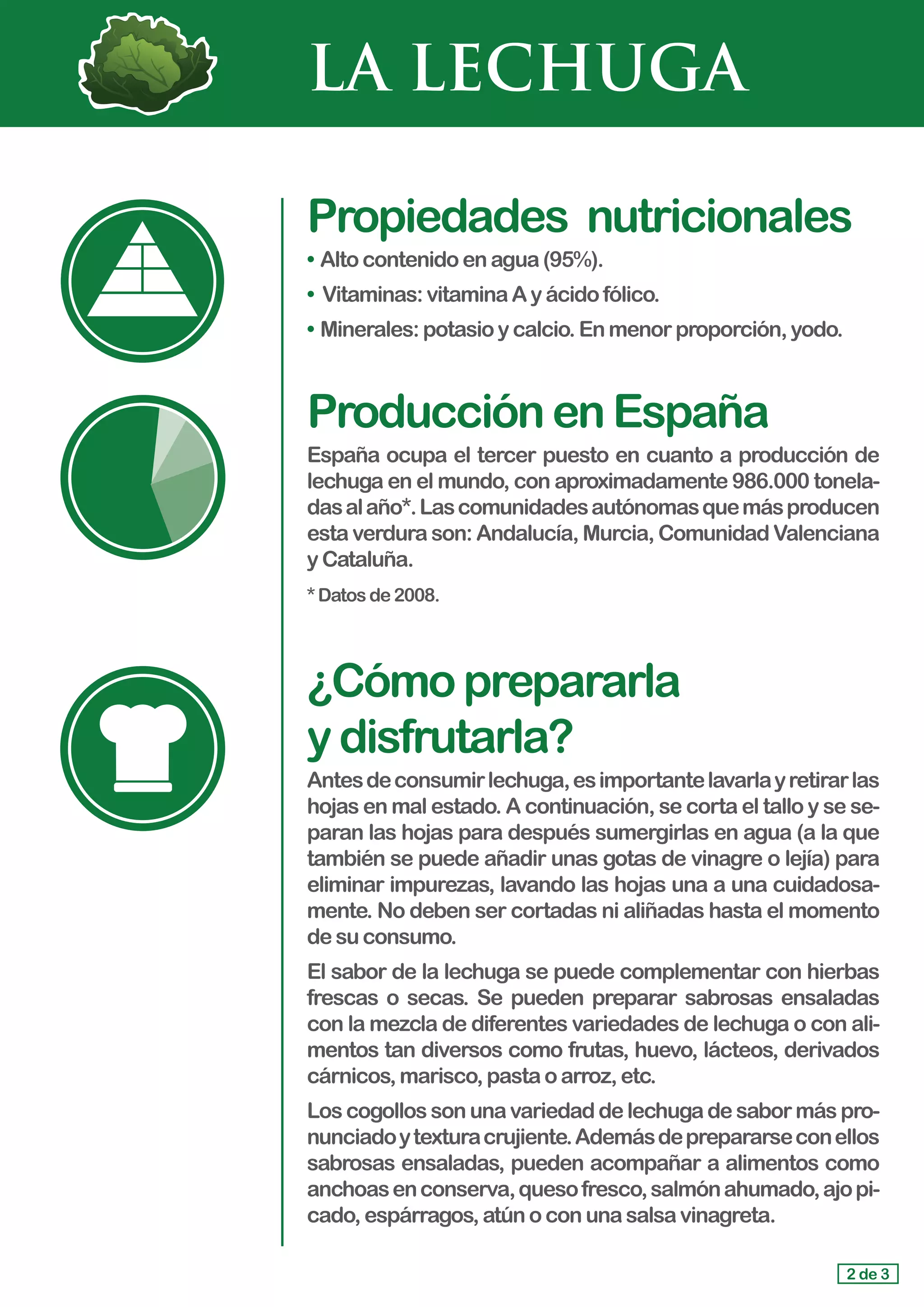 LA LECHUGA
Propiedades	 nutricionales
• 	Alto contenidoenagua(95%).
• Vitaminas:vitaminaAyácidofólico.
•	Minerales:potasioycalcio.Enmenorproporción,yodo.
ProducciónenEspaña
España ocupa el tercer puesto en cuanto a producción de
lechuga en el mundo, con aproximadamente 986.000 tonela-
dasalaño*.Lascomunidadesautónomasquemásproducen
esta verdura son: Andalucía, Murcia, Comunidad Valenciana
y Cataluña.
*Datosde2008.
¿Cómoprepararla				
ydisfrutarla?
Antesdeconsumirlechuga,esimportantelavarlayretirarlas
hojas en mal estado. A continuación, se corta el tallo y se se-
paran las hojas para después sumergirlas en agua (a la que
también se puede añadir unas gotas de vinagre o lejía) para
eliminar impurezas, lavando las hojas una a una cuidadosa-
mente. No deben ser cortadas ni aliñadas hasta el momento
desu consumo.
El sabor de la lechuga se puede complementar con hierbas
frescas o secas. Se pueden preparar sabrosas ensaladas
con la mezcla de diferentes variedades de lechuga o con ali-
mentos tan diversos como frutas, huevo, lácteos, derivados
cárnicos,marisco,pastaoarroz,etc.
Los cogollos son una variedad de lechuga de sabor más pro-
nunciadoytexturacrujiente.Ademásdeprepararseconellos
sabrosas ensaladas, pueden acompañar a alimentos como
anchoasenconserva,quesofresco,salmónahumado,ajopi-
cado,espárragos,atúnoconunasalsavinagreta.
2 de 3
 