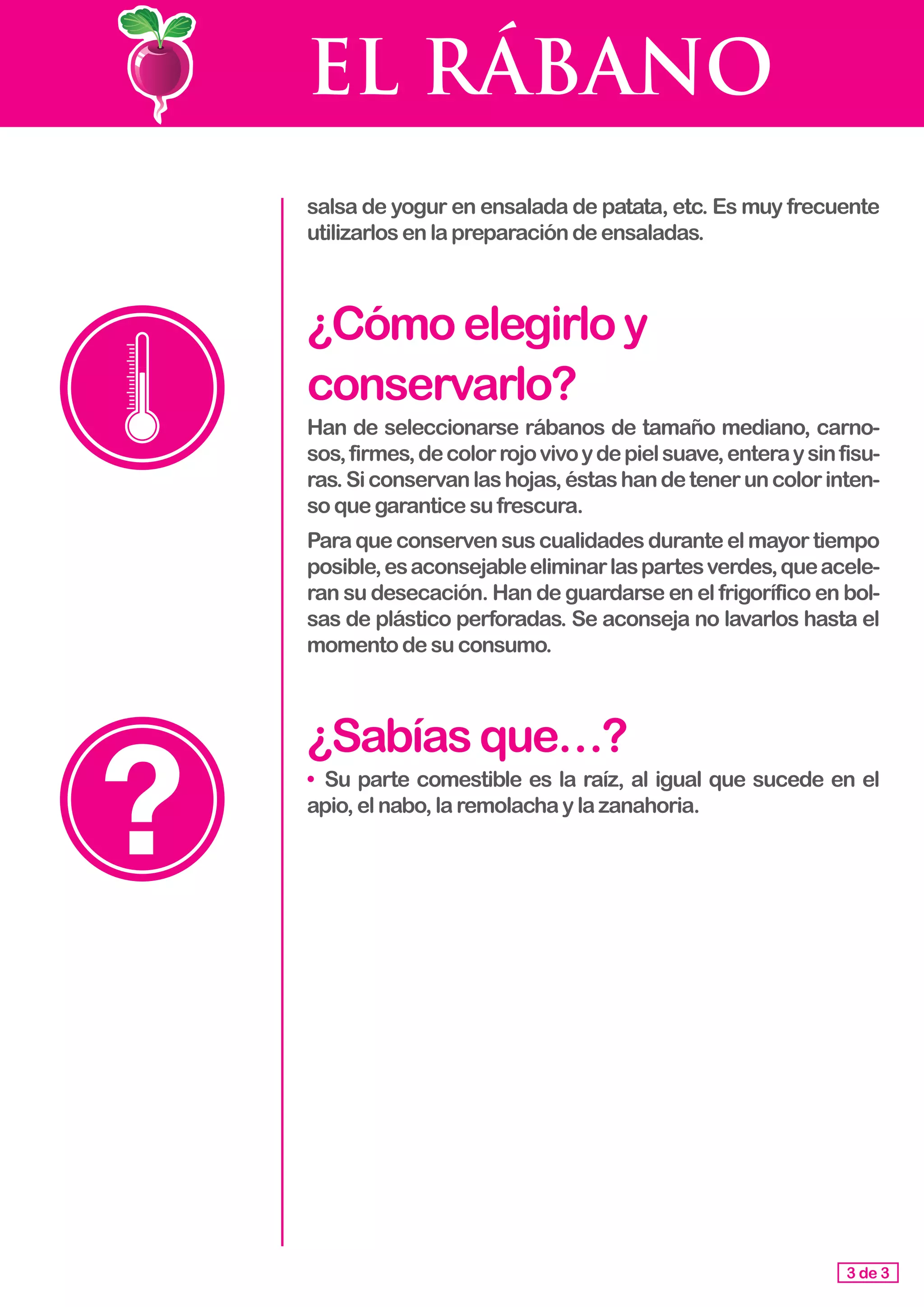 EL RÁBANO
salsa de yogur en ensalada de patata, etc. Es muy frecuente
utilizarlosenlapreparacióndeensaladas.
¿Cómoelegirloy
conservarlo?
Han de seleccionarse rábanos de tamaño mediano, carno-
sos,firmes,decolorrojovivoydepielsuave,enteraysinfisu-
ras.Siconservanlashojas,éstashandeteneruncolorinten-
so que garanticesufrescura.
Paraqueconservensuscualidadesduranteelmayortiempo
posible,esaconsejableeliminarlaspartesverdes,queacele-
ran su desecación. Han de guardarse en el frigorífico en bol-
sas de plástico perforadas. Se aconseja no lavarlos hasta el
momentodesuconsumo.
¿Sabíasque…?
•	 Su parte comestible es la raíz, al igual que sucede en el
apio,elnabo,laremolachaylazanahoria.
3 de 3
 