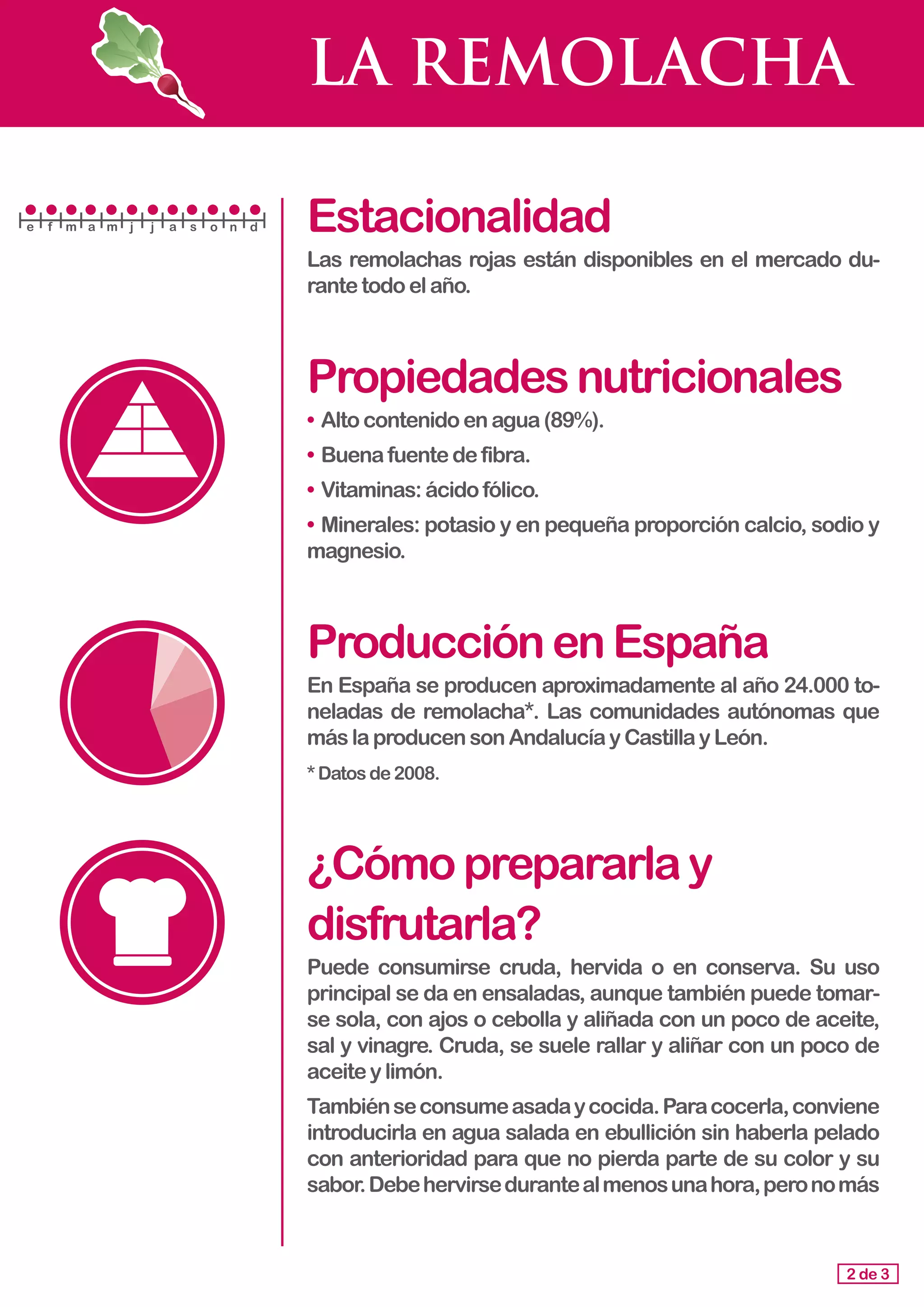 LA REMOLACHA
Estacionalidad
Las remolachas rojas están disponibles en el mercado du-
rante todoelaño.
Propiedadesnutricionales
• 	Alto contenidoenagua(89%).
•	Buenafuentedefibra.
•	Vitaminas:ácidofólico.
•	Minerales: potasio y en pequeña proporción calcio, sodio y
magnesio.
ProducciónenEspaña
En España se producen aproximadamente al año 24.000 to-
neladas de remolacha*. Las comunidades autónomas que
más laproducensonAndalucíayCastillayLeón.
*Datosde2008.
¿Cómoprepararlay
disfrutarla?
Puede consumirse cruda, hervida o en conserva. Su uso
principal se da en ensaladas, aunque también puede tomar-
se sola, con ajos o cebolla y aliñada con un poco de aceite,
sal y vinagre. Cruda, se suele rallar y aliñar con un poco de
aceite y limón.
Tambiénseconsumeasadaycocida.Paracocerla,conviene
introducirla en agua salada en ebullición sin haberla pelado
con anterioridad para que no pierda parte de su color y su
sabor.Debehervirsedurantealmenosunahora,peronomás
2 de 3
e f m a m j j a s o n d
 