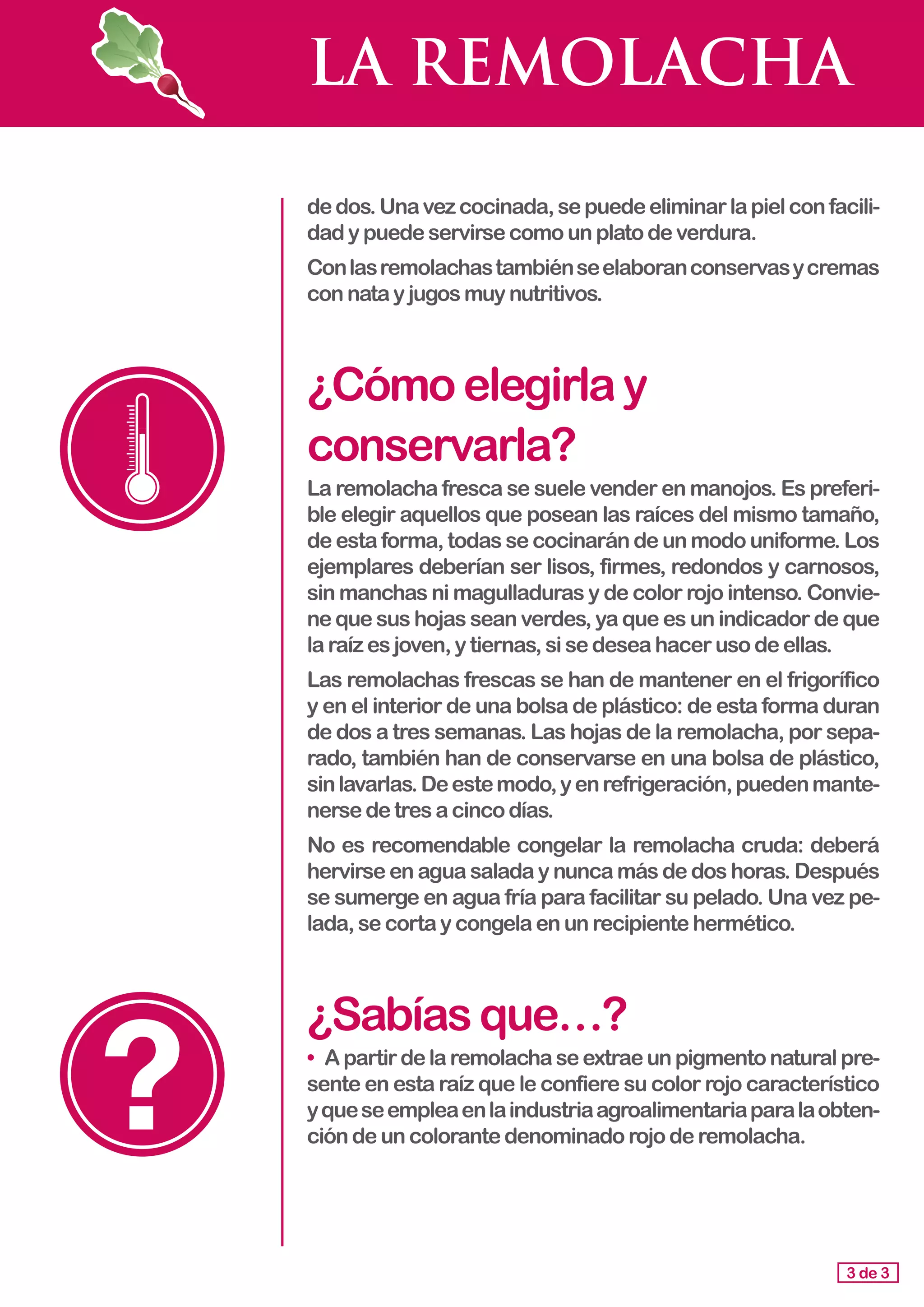 LA REMOLACHA
dedos.Unavezcocinada,sepuedeeliminarlapielconfacili-
dad y puedeservirsecomounplatodeverdura.
Conlasremolachastambiénseelaboranconservasycremas
con nata yjugosmuynutritivos.
¿Cómoelegirlay
conservarla?
La remolacha fresca se suele vender en manojos. Es preferi-
ble elegir aquellos que posean las raíces del mismo tamaño,
de esta forma, todas se cocinarán de un modo uniforme. Los
ejemplares deberían ser lisos, firmes, redondos y carnosos,
sin manchas ni magulladuras y de color rojo intenso. Convie-
ne que sus hojas sean verdes, ya que es un indicador de que
la raíz es joven,ytiernas,sisedeseahacerusodeellas.
Las remolachas frescas se han de mantener en el frigorífico
y en el interior de una bolsa de plástico: de esta forma duran
de dos a tres semanas. Las hojas de la remolacha, por sepa-
rado, también han de conservarse en una bolsa de plástico,
sinlavarlas.Deestemodo,yenrefrigeración,puedenmante-
nerse de tresacincodías.
No es recomendable congelar la remolacha cruda: deberá
hervirse en agua salada y nunca más de dos horas. Después
se sumerge en agua fría para facilitar su pelado. Una vez pe-
lada,secortaycongelaenunrecipientehermético.
¿Sabíasque…?
•	 Apartirdelaremolachaseextraeunpigmentonaturalpre-
sente en esta raíz que le confiere su color rojo característico
yqueseempleaenlaindustriaagroalimentariaparalaobten-
ción deuncolorantedenominadorojoderemolacha.
3 de 3
 