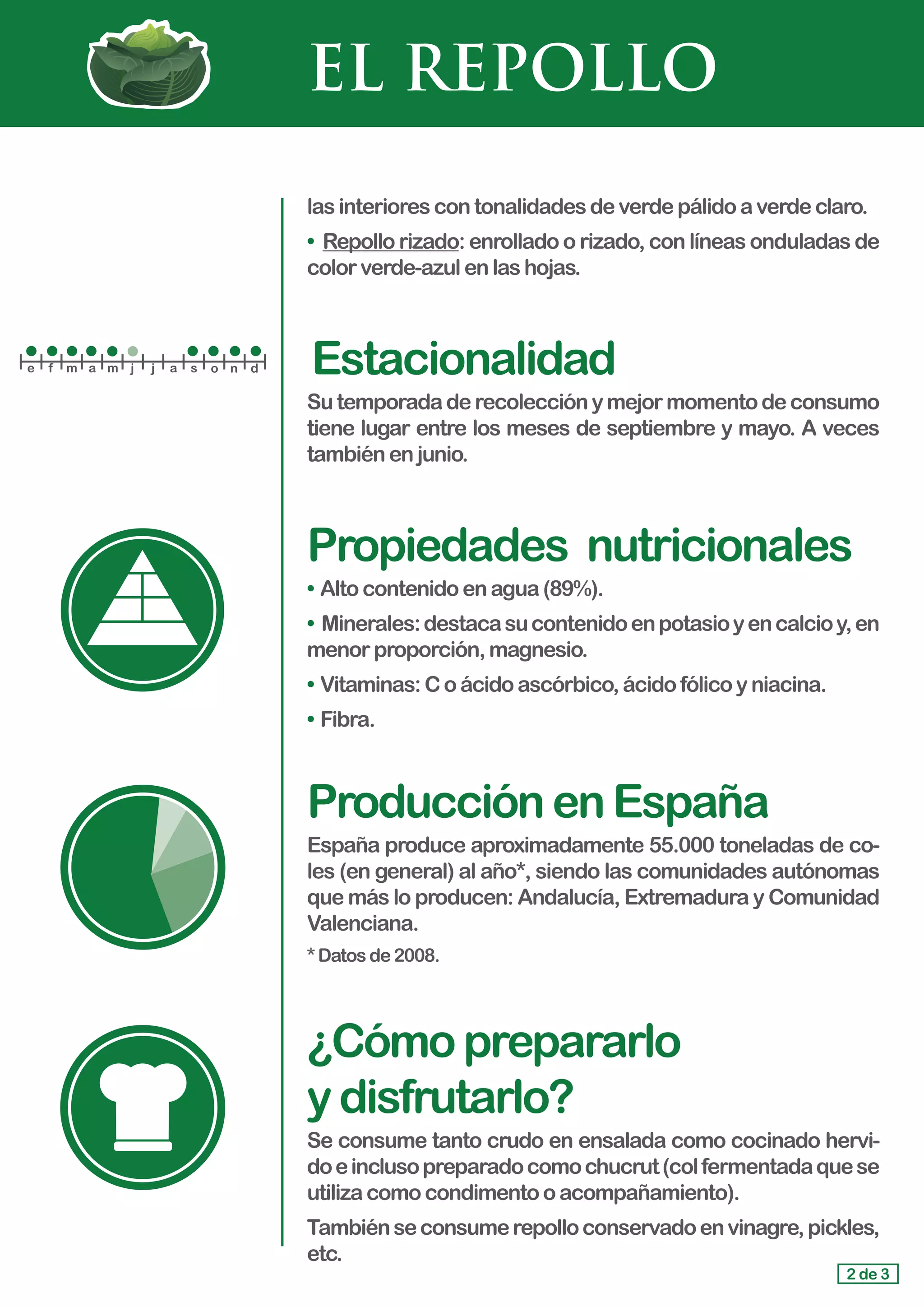 EL REPOLLO
las interiorescontonalidadesdeverdepálidoaverdeclaro.
• Repollo rizado: enrollado o rizado, con líneas onduladas de
colorverde-azulenlashojas.
Estacionalidad
Sutemporadaderecolecciónymejormomentodeconsumo
tiene lugar entre los meses de septiembre y mayo. A veces
también enjunio.
Propiedades	 nutricionales
• 	Alto contenidoenagua(89%).
• Minerales:destacasucontenidoenpotasioyencalcioy,en
menor proporción,magnesio.
•	Vitaminas:Coácidoascórbico,ácidofólicoyniacina.
•	Fibra.
ProducciónenEspaña
España produce aproximadamente 55.000 toneladas de co-
les (en general) al año*, siendo las comunidades autónomas
que más lo producen: Andalucía, Extremadura y Comunidad
Valenciana.
*Datosde2008.
¿Cómoprepararlo				
ydisfrutarlo?
Se consume tanto crudo en ensalada como cocinado hervi-
doeinclusopreparadocomochucrut(colfermentadaquese
utilizacomocondimentooacompañamiento).
Tambiénseconsumerepolloconservadoenvinagre,pickles,
etc.
2 de 3
e f m a m j j a s o n d
 