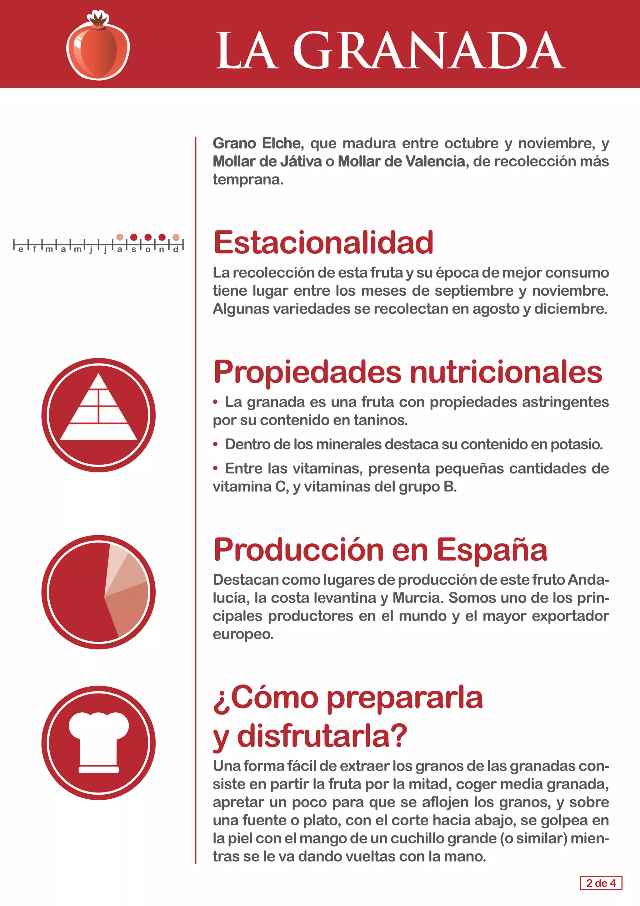 LA GRANADA
Grano Elche, que madura entre octubre y noviembre, y
Mollar de Játiva o Mollar de Valencia, de recolección más
temprana.
Estacionalidad
La recolección de esta fruta y su época de mejor consumo
tiene lugar entre los meses de septiembre y noviembre.
Algunas variedades se recolectan en agosto y diciembre.
Propiedades nutricionales
• La granada es una fruta con propiedades astringentes
por su contenido en taninos.
• Dentro de los minerales destaca su contenido en potasio.
• Entre las vitaminas, presenta pequeñas cantidades de
vitamina C, y vitaminas del grupo B.
Producción en España
DestacancomolugaresdeproduccióndeestefrutoAnda-
lucía, la costa levantina y Murcia. Somos uno de los prin-
cipales productores en el mundo y el mayor exportador
europeo.
¿Cómo prepararla
y disfrutarla?
Una forma fácil de extraer los granos de las granadas con-
siste en partir la fruta por la mitad, coger media granada,
apretar un poco para que se aflojen los granos, y sobre
una fuente o plato, con el corte hacia abajo, se golpea en
la piel con el mango de un cuchillo grande (o similar) mien-
tras se le va dando vueltas con la mano.
2 de 4
e f m a m j j a s o n d
 