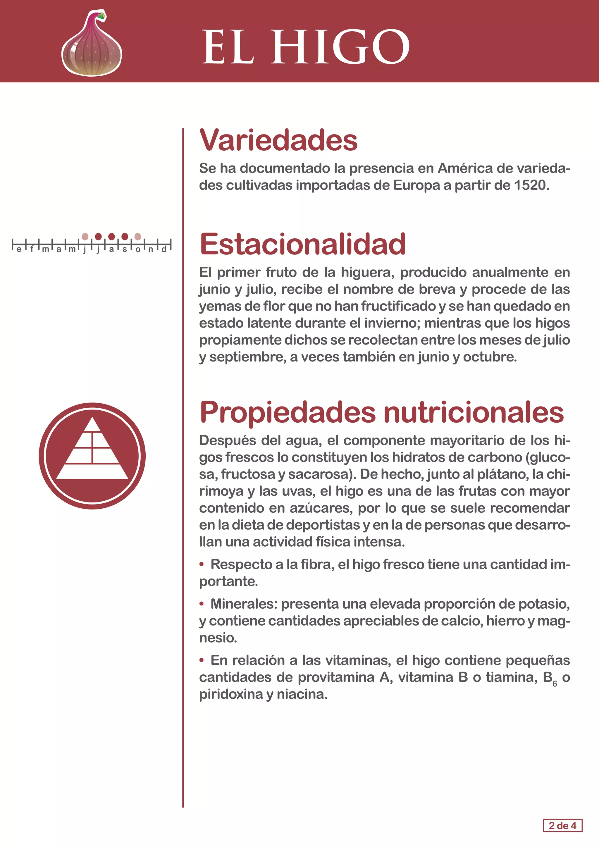 EL HIGO
Variedades
Se ha documentado la presencia en América de varieda-
des cultivadas importadas de Europa a partir de 1520.
Estacionalidad
El primer fruto de la higuera, producido anualmente en
junio y julio, recibe el nombre de breva y procede de las
yemas de flor que no han fructificado y se han quedado en
estado latente durante el invierno; mientras que los higos
propiamente dichos se recolectan entre los meses de julio
y septiembre, a veces también en junio y octubre.
Propiedades nutricionales
Después del agua, el componente mayoritario de los hi-
gos frescos lo constituyen los hidratos de carbono (gluco-
sa, fructosa y sacarosa). De hecho, junto al plátano, la chi-
rimoya y las uvas, el higo es una de las frutas con mayor
contenido en azúcares, por lo que se suele recomendar
en la dieta de deportistas y en la de personas que desarro-
llan una actividad física intensa.
•	 Respecto a la fibra, el higo fresco tiene una cantidad im-
portante.
•	 Minerales: presenta una elevada proporción de potasio,
y contiene cantidades apreciables de calcio, hierro y mag-
nesio.
•	 En relación a las vitaminas, el higo contiene pequeñas
cantidades de provitamina A, vitamina B o tiamina, B6
o
piridoxina y niacina.
2 de 4
e f m a m j j a s o n d
 