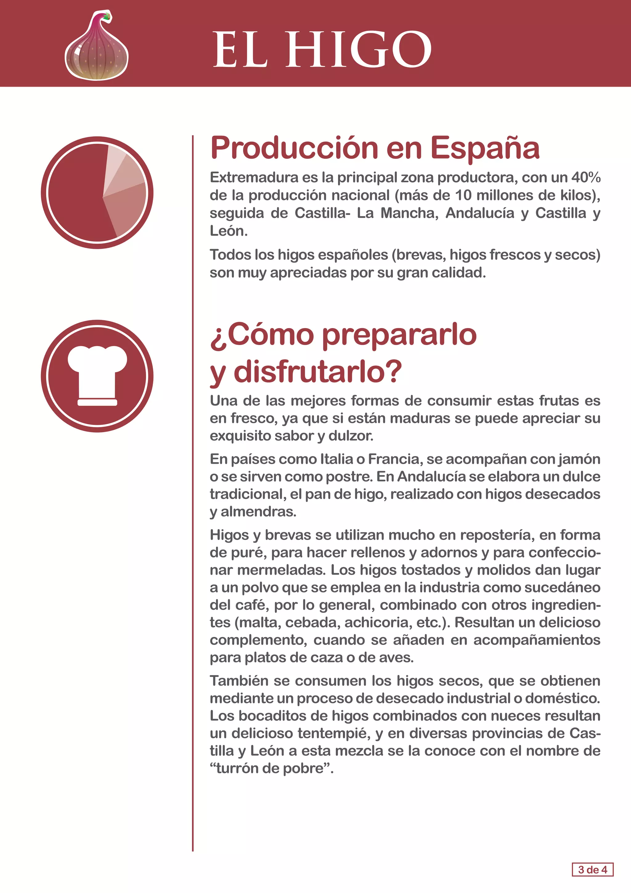 EL HIGO
Producción en España
Extremadura es la principal zona productora, con un 40%
de la producción nacional (más de 10 millones de kilos),
seguida de Castilla- La Mancha, Andalucía y Castilla y
León.
Todos los higos españoles (brevas, higos frescos y secos)
son muy apreciadas por su gran calidad.
¿Cómo prepararlo 				
y disfrutarlo?
Una de las mejores formas de consumir estas frutas es
en fresco, ya que si están maduras se puede apreciar su
exquisito sabor y dulzor.
En países como Italia o Francia, se acompañan con jamón
o se sirven como postre. En Andalucía se elabora un dulce
tradicional, el pan de higo, realizado con higos desecados
y almendras.
Higos y brevas se utilizan mucho en repostería, en forma
de puré, para hacer rellenos y adornos y para confeccio-
nar mermeladas. Los higos tostados y molidos dan lugar
a un polvo que se emplea en la industria como sucedáneo
del café, por lo general, combinado con otros ingredien-
tes (malta, cebada, achicoria, etc.). Resultan un delicioso
complemento, cuando se añaden en acompañamientos
para platos de caza o de aves.
También se consumen los higos secos, que se obtienen
mediante un proceso de desecado industrial o doméstico.
Los bocaditos de higos combinados con nueces resultan
un delicioso tentempié, y en diversas provincias de Cas-
tilla y León a esta mezcla se la conoce con el nombre de
“turrón de pobre”.
3 de 4
 