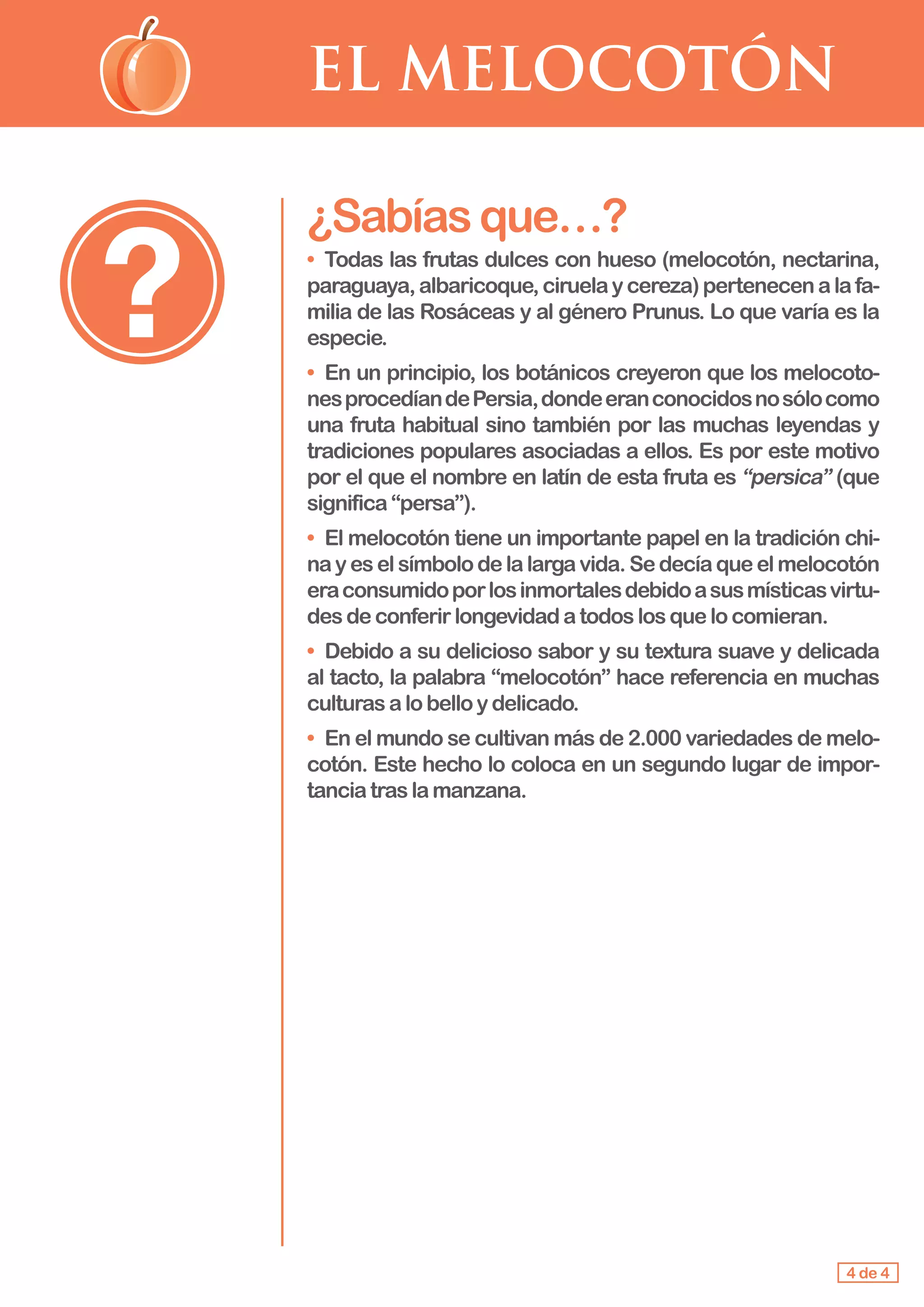 EL MELOCOTÓN
4 de 4
¿Sabíasque…?
•	 Todas las frutas dulces con hueso (melocotón, nectarina,
paraguaya,albaricoque,ciruelaycereza)pertenecenalafa-
milia de las Rosáceas y al género Prunus. Lo que varía es la
especie.
• 	En un principio, los botánicos creyeron que los melocoto-
nesprocedíandePersia,dondeeranconocidosnosólocomo
una fruta habitual sino también por las muchas leyendas y
tradiciones populares asociadas a ellos. Es por este motivo
por el que el nombre en latín de esta fruta es “persica” (que
significa“persa”).
• 	El melocotón tiene un importante papel en la tradición chi-
nayeselsímbolodelalargavida.Sedecíaqueelmelocotón
eraconsumidoporlosinmortalesdebidoasusmísticasvirtu-
des deconferirlongevidadatodoslosquelocomieran.
• 	Debido a su delicioso sabor y su textura suave y delicada
al tacto, la palabra “melocotón” hace referencia en muchas
culturas alobelloydelicado.
•	 En el mundo se cultivan más de 2.000 variedades de melo-
cotón. Este hecho lo coloca en un segundo lugar de impor-
tanciatraslamanzana.
 