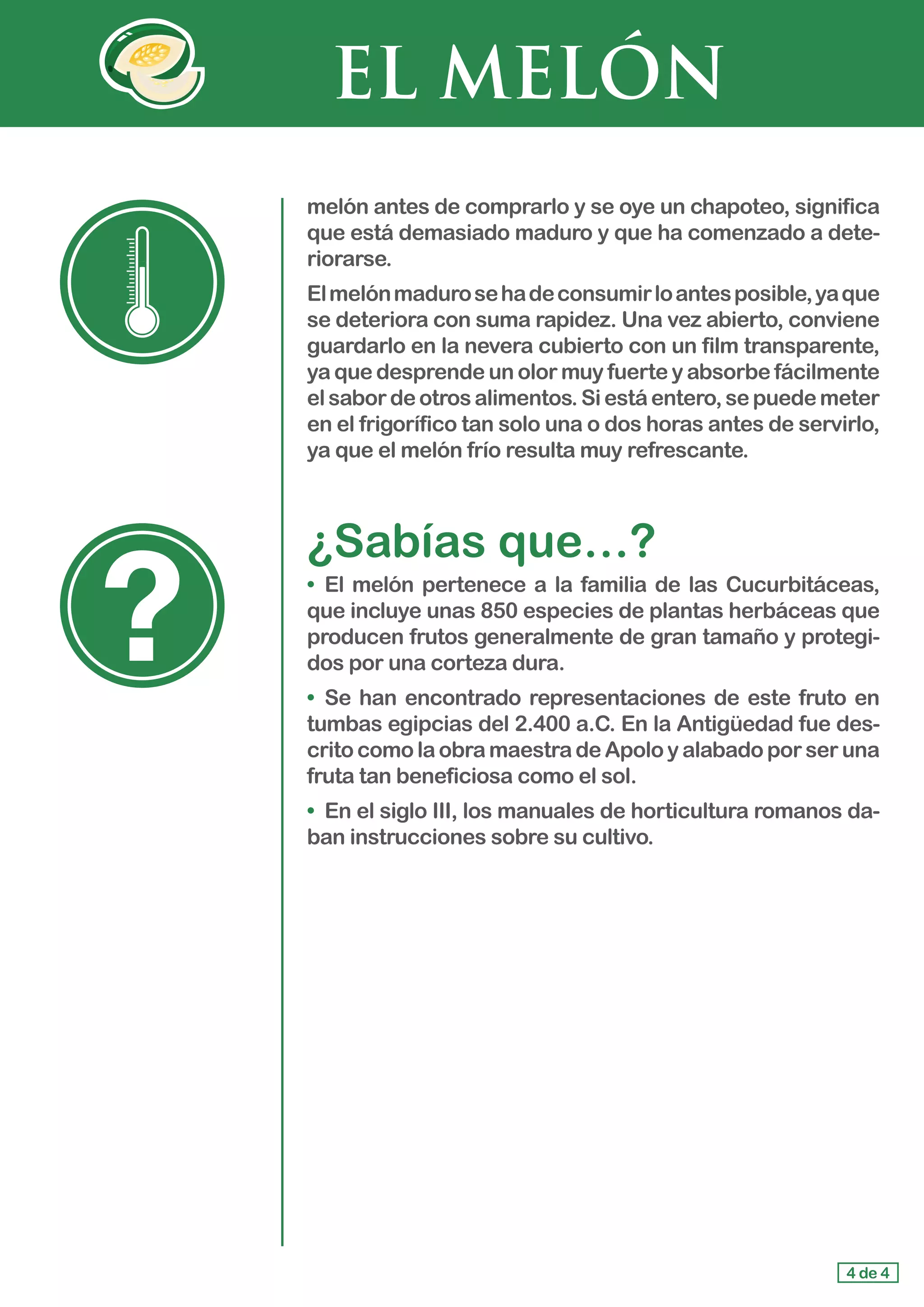 EL MELÓN
4 de 4
melón antes de comprarlo y se oye un chapoteo, significa
que está demasiado maduro y que ha comenzado a dete-
riorarse.
Elmelónmadurosehadeconsumirloantesposible,yaque
se deteriora con suma rapidez. Una vez abierto, conviene
guardarlo en la nevera cubierto con un film transparente,
ya que desprende un olor muy fuerte y absorbe fácilmente
elsabordeotrosalimentos.Siestáentero,sepuedemeter
en el frigorífico tan solo una o dos horas antes de servirlo,
ya que el melón frío resulta muy refrescante.
¿Sabías que…?
•	 El melón pertenece a la familia de las Cucurbitáceas,
que incluye unas 850 especies de plantas herbáceas que
producen frutos generalmente de gran tamaño y protegi-
dos por una corteza dura.
•	 Se han encontrado representaciones de este fruto en
tumbas egipcias del 2.400 a.C. En la Antigüedad fue des-
crito como la obra maestra de Apolo y alabado por ser una
fruta tan beneficiosa como el sol.
•	 En el siglo III, los manuales de horticultura romanos da-
ban instrucciones sobre su cultivo.
 