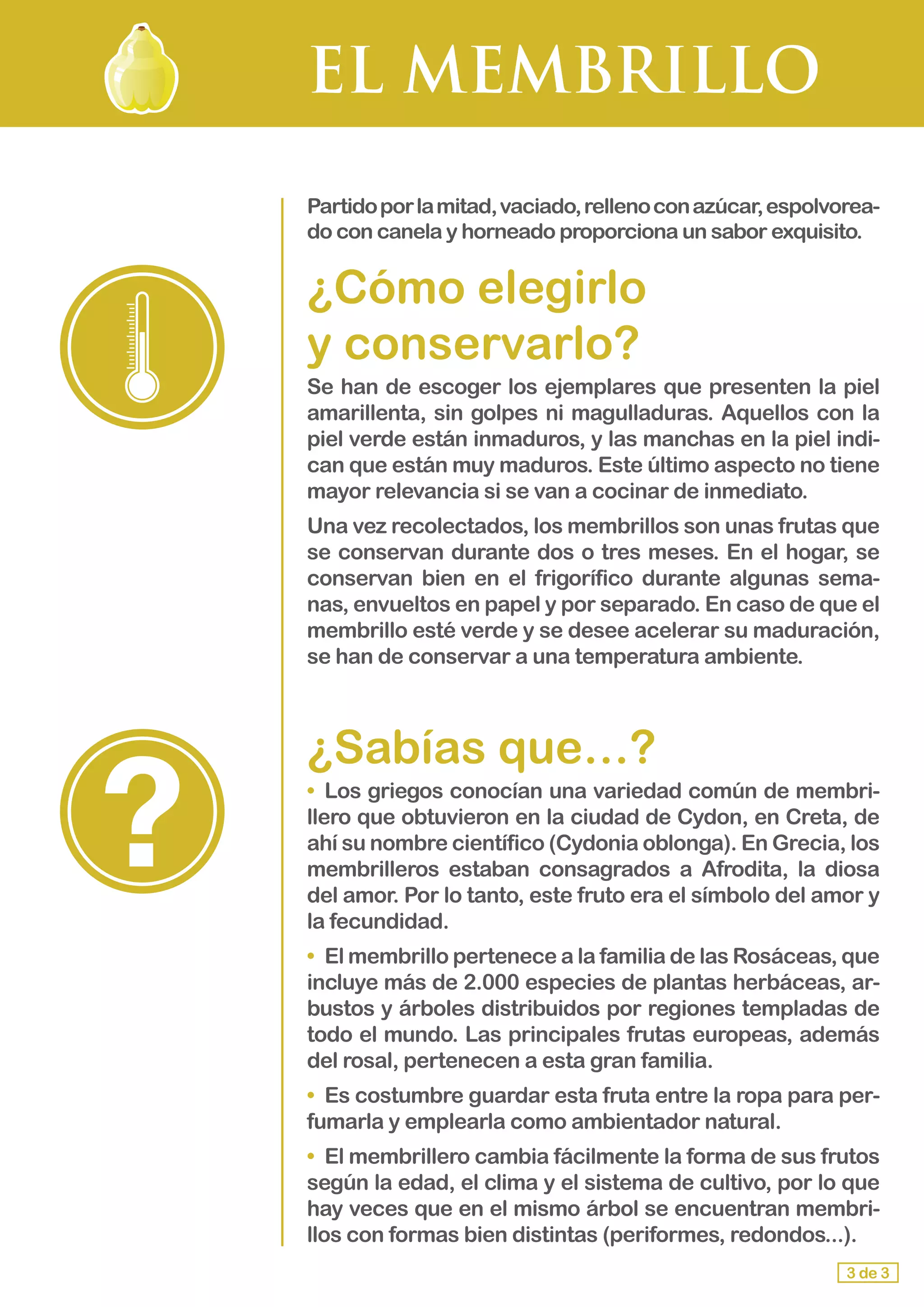 EL MEMBRILLO
Partidoporlamitad,vaciado,rellenoconazúcar,espolvorea-
do con canela y horneado proporciona un sabor exquisito.
¿Cómo elegirlo 				
y conservarlo?
Se han de escoger los ejemplares que presenten la piel
amarillenta, sin golpes ni magulladuras. Aquellos con la
piel verde están inmaduros, y las manchas en la piel indi-
can que están muy maduros. Este último aspecto no tiene
mayor relevancia si se van a cocinar de inmediato.
Una vez recolectados, los membrillos son unas frutas que
se conservan durante dos o tres meses. En el hogar, se
conservan bien en el frigorífico durante algunas sema-
nas, envueltos en papel y por separado. En caso de que el
membrillo esté verde y se desee acelerar su maduración,
se han de conservar a una temperatura ambiente.
¿Sabías que…?
•	 Los griegos conocían una variedad común de membri-
llero que obtuvieron en la ciudad de Cydon, en Creta, de
ahí su nombre científico (Cydonia oblonga). En Grecia, los
membrilleros estaban consagrados a Afrodita, la diosa
del amor. Por lo tanto, este fruto era el símbolo del amor y
la fecundidad.
•	 El membrillo pertenece a la familia de las Rosáceas, que
incluye más de 2.000 especies de plantas herbáceas, ar-
bustos y árboles distribuidos por regiones templadas de
todo el mundo. Las principales frutas europeas, además
del rosal, pertenecen a esta gran familia.
•	 Es costumbre guardar esta fruta entre la ropa para per-
fumarla y emplearla como ambientador natural.
•	 El membrillero cambia fácilmente la forma de sus frutos
según la edad, el clima y el sistema de cultivo, por lo que
hay veces que en el mismo árbol se encuentran membri-
llos con formas bien distintas (periformes, redondos...).
3 de 3
 