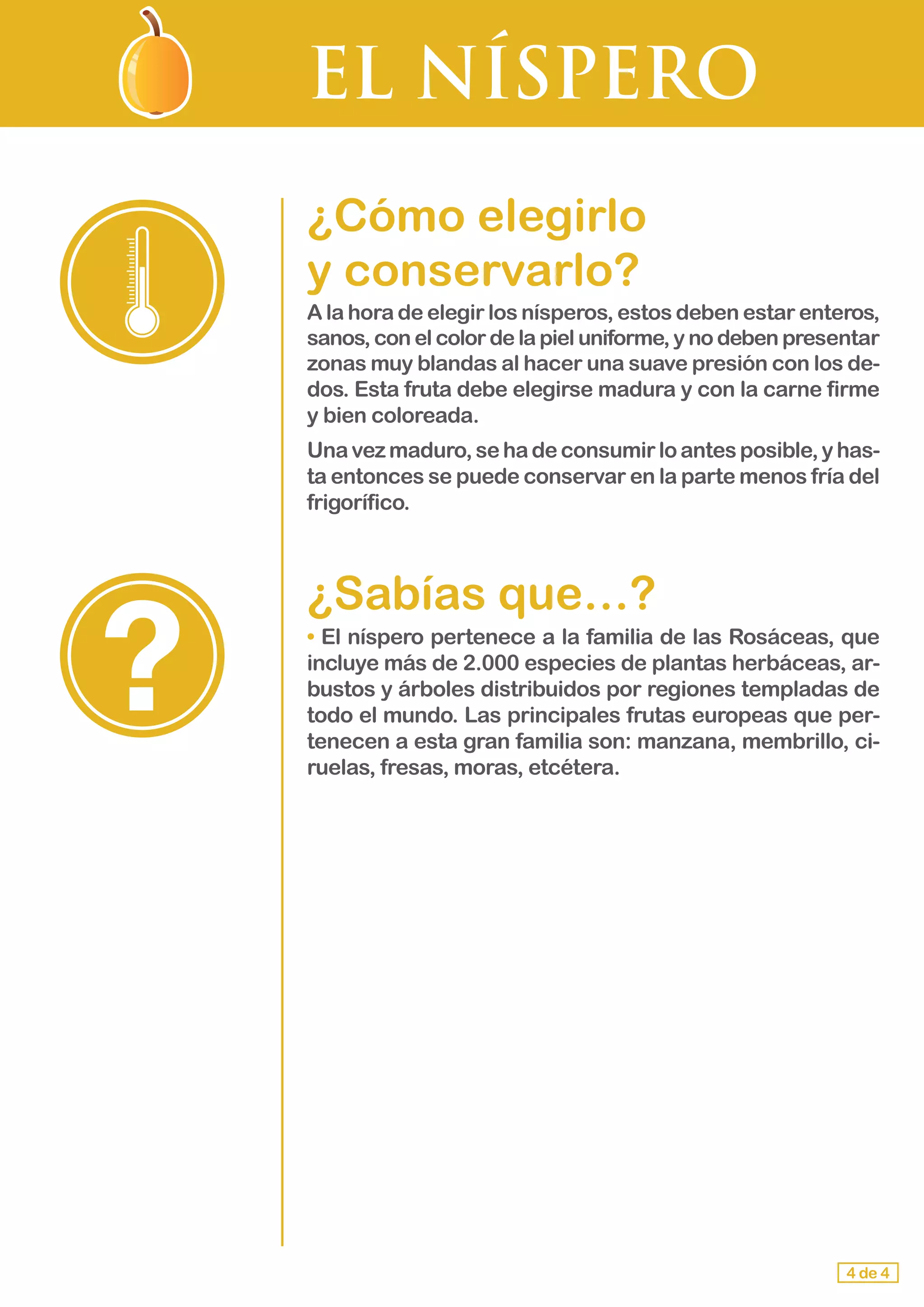 EL NÍSPERO
¿Cómo elegirlo 				
y conservarlo?
A la hora de elegir los nísperos, estos deben estar enteros,
sanos, con el color de la piel uniforme, y no deben presentar
zonas muy blandas al hacer una suave presión con los de-
dos. Esta fruta debe elegirse madura y con la carne firme
y bien coloreada.
Unavezmaduro,sehadeconsumirloantesposible,yhas-
ta entonces se puede conservar en la parte menos fría del
frigorífico.
¿Sabías que…?
• El níspero pertenece a la familia de las Rosáceas, que
incluye más de 2.000 especies de plantas herbáceas, ar-
bustos y árboles distribuidos por regiones templadas de
todo el mundo. Las principales frutas europeas que per-
tenecen a esta gran familia son: manzana, membrillo, ci-
ruelas, fresas, moras, etcétera.
4 de 4
 