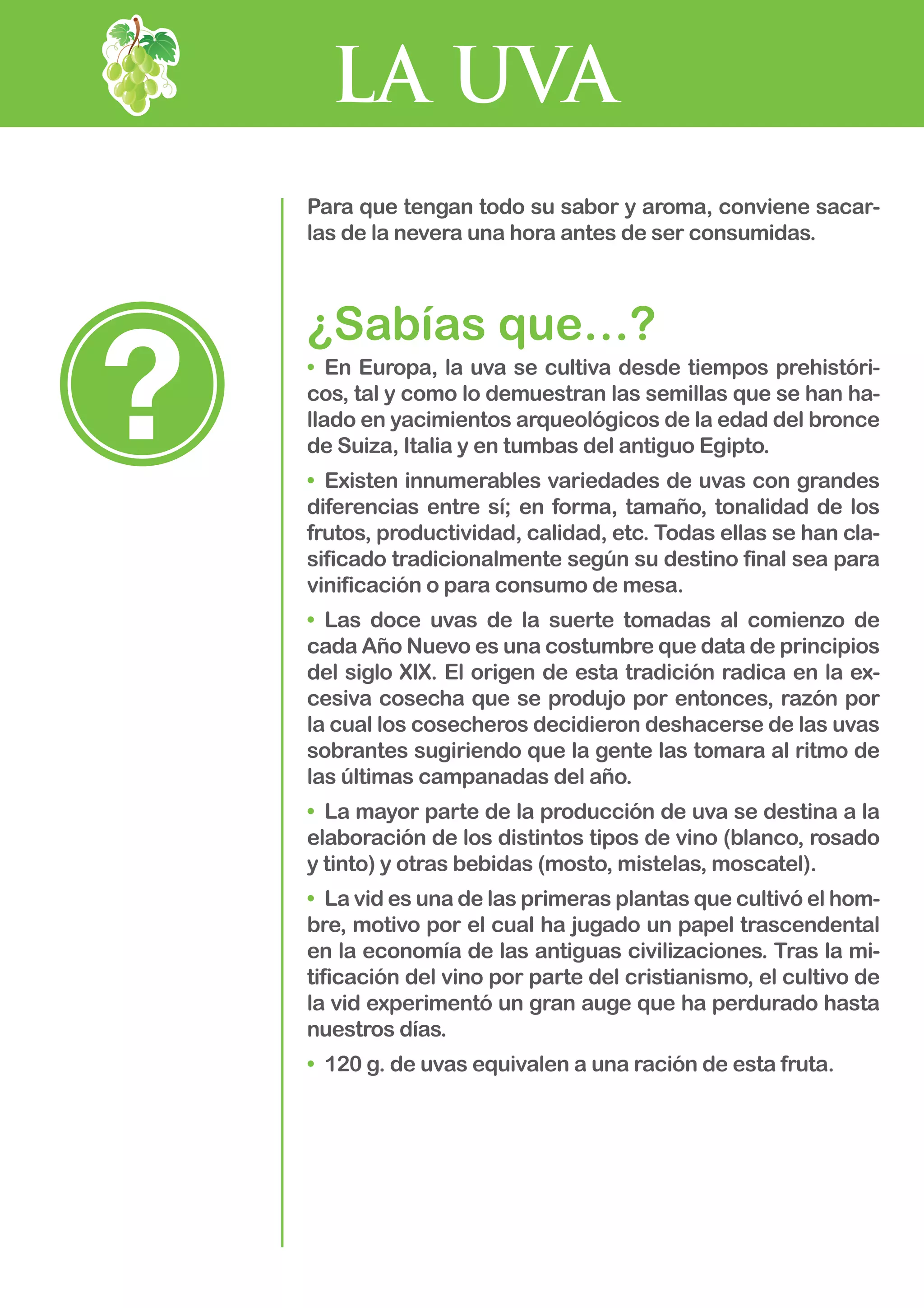 LA UVA
Para que tengan todo su sabor y aroma, conviene sacar-
las de la nevera una hora antes de ser consumidas.
¿Sabías que…?
•	 En Europa, la uva se cultiva desde tiempos prehistóri-
cos, tal y como lo demuestran las semillas que se han ha-
llado en yacimientos arqueológicos de la edad del bronce
de Suiza, Italia y en tumbas del antiguo Egipto.
•	 Existen innumerables variedades de uvas con grandes
diferencias entre sí; en forma, tamaño, tonalidad de los
frutos, productividad, calidad, etc. Todas ellas se han cla-
sificado tradicionalmente según su destino final sea para
vinificación o para consumo de mesa.
•	 Las doce uvas de la suerte tomadas al comienzo de
cada Año Nuevo es una costumbre que data de principios
del siglo XIX. El origen de esta tradición radica en la ex-
cesiva cosecha que se produjo por entonces, razón por
la cual los cosecheros decidieron deshacerse de las uvas
sobrantes sugiriendo que la gente las tomara al ritmo de
las últimas campanadas del año.
•	 La mayor parte de la producción de uva se destina a la
elaboración de los distintos tipos de vino (blanco, rosado
y tinto) y otras bebidas (mosto, mistelas, moscatel).
•	 La vid es una de las primeras plantas que cultivó el hom-
bre, motivo por el cual ha jugado un papel trascendental
en la economía de las antiguas civilizaciones. Tras la mi-
tificación del vino por parte del cristianismo, el cultivo de
la vid experimentó un gran auge que ha perdurado hasta
nuestros días.
•	 120 g. de uvas equivalen a una ración de esta fruta.
 