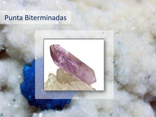 Punta Biterminadas
 