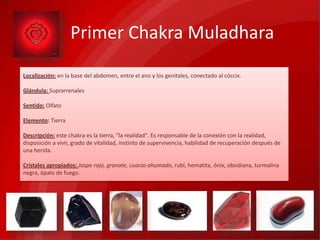Primer Chakra Muladhara
Localización: en la base del abdomen, entre el ano y los genitales, conectado al cóccix.
Glándula: Suprarrenales
Sentido: Olfato
Elemento: Tierra
Descripción: este chakra es la tierra, "la realidad". Es responsable de la conexión con la realidad,
disposición a vivir, grado de vitalidad, instinto de supervivencia, habilidad de recuperación después de
una herida.
Cristales apropiados: Jaspe rojo, granate, cuarzo ahumado, rubí, hematita, ónix, obsidiana, turmalina
negra, ópalo de fuego.
 