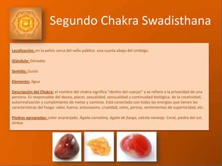 Localización: en la pelvis cerca del vello público. una cuarta abajo del ombligo.
Glándula: Gónadas
Sentido: Gusto
Elemento: Agua
Descripción del Chakra: el nombre del chakra significa "dentro del cuerpo" y se refiere a la privacidad de una
persona. Es responsable del deseo, placer, sexualidad, sensualidad y continuidad biológica; de la creatividad,
autorrealización y cumplimiento de metas y caminos. Está conectado con todas las energías que tienen las
características del fuego: valor, fuerza, entusiasmo, crueldad, celos, pereza, sentimientos de superioridad, etc.
Piedras apropiadas: color anaranjado. Ágata cornalina, ágata de fuego, calcita naranja. Coral, piedra del sol,
ámbar.
Segundo Chakra Swadisthana
 