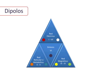 Dipolos
Red
Eléctrica:
I - VII
Red
Reticular o
Metabólica:
II - V
Síntesis:
VI
Red
Magnética:
III - IV
 