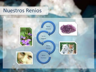 Reino
Mineral
Reino
Vegetal
Reino
Animal
Reino
Humano
Nuestros Renios
 