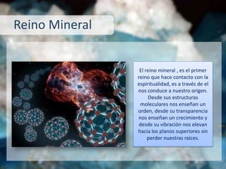 Reino Mineral
El reino mineral , es el primer
reino que hace contacto con la
espiritualidad, es a través de el
nos conduce a nuestro origen.
Desde sus estructuras
moleculares nos enseñan un
orden, desde su transparencia
nos enseñan un crecimiento y
desde su vibración nos elevan
hacia los planos superiores sin
perder nuestras raíces.
 