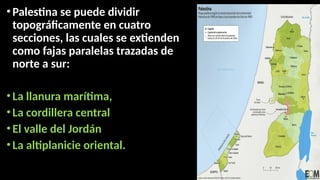 •Palestina se puede dividir
topográficamente en cuatro
secciones, las cuales se extienden
como fajas paralelas trazadas de
norte a sur:
•La llanura marítima,
•La cordillera central
•El valle del Jordán
•La altiplanicie oriental.
 