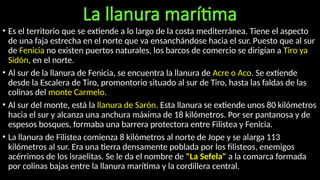 La llanura marítima
• Es el territorio que se extiende a lo largo de la costa mediterránea. Tiene el aspecto
de una faja estrecha en el norte que va ensanchándose hacia el sur. Puesto que al sur
de Fenicia no existen puertos naturales, los barcos de comercio se dirigían a Tiro ya
Sidón, en el norte.
• Al sur de la llanura de Fenicia, se encuentra la llanura de Acre o Aco. Se extiende
desde la Escalera de Tiro, promontorio situado al sur de Tiro, hasta las faldas de las
colinas del monte Carmelo.
• Al sur del monte, está la llanura de Sarón. Esta llanura se extiende unos 80 kilómetros
hacia el sur y alcanza una anchura máxima de 18 kilómetros. Por ser pantanosa y de
espesos bosques, formaba una barrera protectora entre Filistea y Fenicia.
• La llanura de Filistea comienza 8 kilómetros al norte de Jope y se alarga 113
kilómetros al sur. Era una tierra densamente poblada por los filisteos, enemigos
acérrimos de los israelitas. Se le da el nombre de "La Sefela" a la comarca formada
por colinas bajas entre la llanura marítima y la cordillera central.
 