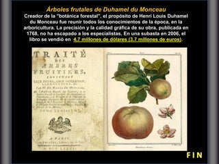 Carfta Magna
Árboles frutales de ​​Duhamel du Monceau
Creador de la "botánica forestal", el propósito de Henri Louis Duhamel
du Monceau fue reunir todos los conocimientos de la época, en la
arboricultura. La precisión y la calidad gráfica de su obra, publicada en
1768, no ha escapado a los especialistas. En una subasta en 2006, el
libro se vendió en 4,7 millones de dólares (3.7 millones de euros).
 