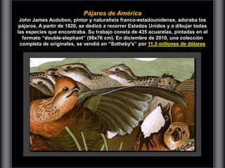 Pájaros de América
John James Audubon, pintor y naturalista franco-estadounidense, adoraba los
pájaros. A partir de 1820, se dedicó a recorrer Estados Unidos y a dibujar todas
las especies que encontraba. Su trabajo consta de 435 acuarelas, pintadas en el
formato “double-elephant” (98x76 cm). En diciembre de 2010, una colección
completa de originales, se vendió en “Sotheby's” por 11,5 millones de dólares
 