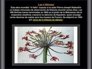 Las Liliáceas
Esta obra increíble “in folio” supuso a su autor Pierre-Joseph Redouté's
un trabajo minucioso de observación de liliáceas durante varios años. Las
480 láminas fueron terminadas en 1802 en el jardín de la Malmaison (de la
emperatriz Josefina). Llamaron la atención de Napoleón, quien encargó
varias decenas de copias para los museos de Francia. Se adquirió en 1985
por cerca de 5 millones de dólares.
 
