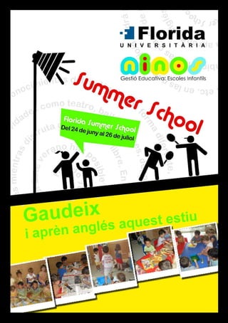 Ninos Summer School 2013