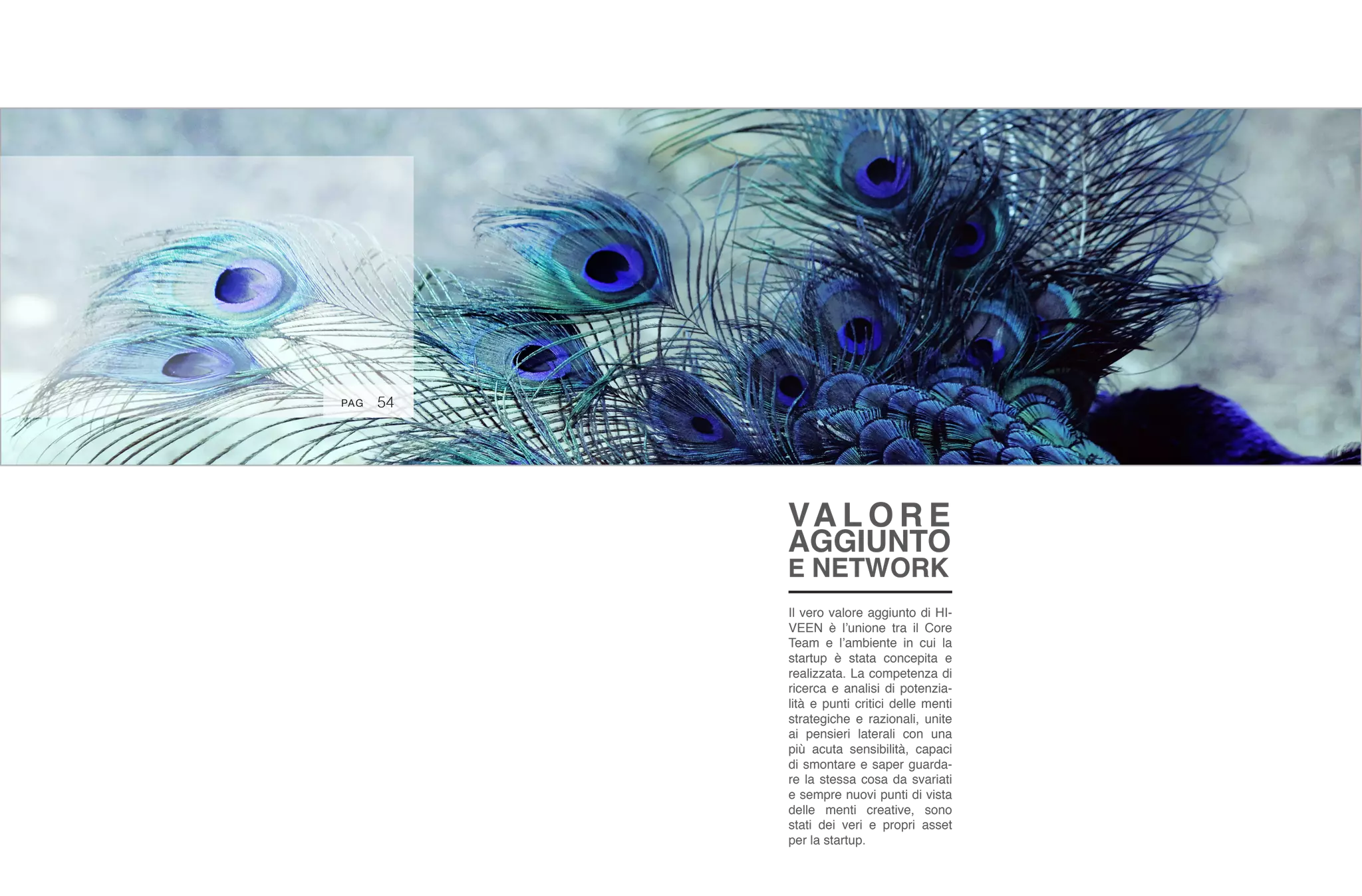 54PAG
VA L O R E
AGGIUNTO
E NETWORK
Il vero valore aggiunto di HI-
VEEN è l’unione tra il Core
Team e l’ambiente in cui la
startup è stata concepita e
realizzata. La competenza di
ricerca e analisi di potenzia-
lità e punti critici delle menti
strategiche e razionali, unite
ai pensieri laterali con una
più acuta sensibilità, capaci
di smontare e saper guarda-
re la stessa cosa da svariati
e sempre nuovi punti di vista
delle menti creative, sono
stati dei veri e propri asset
per la startup.
 