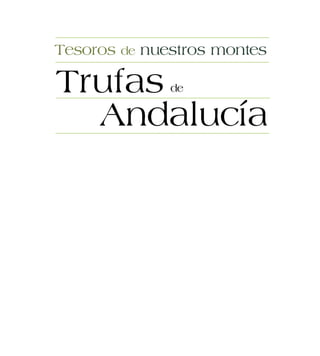 Tesoros de nuestros montes
Andalucía
deTrufas
 