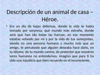Descripción de un animal de casa –
Héroe.
• Era un día de bajas defensas, donde la vida te había
tomado por sorpresa; qué mundo más extraño, donde
será que han ido todas las fuerzas, en ese momento
estabas velando por mí y por la vida de tus semejantes,
siendo no una persona humana y mucho más que un
amigo, te percataste que alguien deseaba hace daño, en
tu idioma, de tu mundo canino, de protector que nosotros
seres humanos no entendemos, imagino que para ti ha
sido una injusticia que bien recuerdo en el inconsciente,
 
