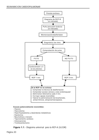 REANIMACION CARDIOPULMONAR


                                               Parada cardiaca


                                             Diagrama de RCP- B
                                                 (si indicada)


                                           Puño percusión torácica
                                                 (si indicada)


                                         Monitorización/desfibrilador



                                             Diagnóstico de ritmo



                                           Comprobación de pulso




                              FV/TV                                     NO FV/TV




                         Cardioversión x 3
                          (si es preciso)




                            RCP 1 min.                                  RCP 3 min.




                            Si la RCP no es exitosa:
                            - Comprobar la técnica de desfibrilación
                            - Comprobar acceso venoso y tubo endotraqueal
                            - Administrar Adrenalina cada 3 min.
                            - Corregir causas reversibles
                            - Valorar la administración de bicarbonato,
                              antiarrítmicos, atropina/marcapasos.



      Causas potencialmente reversibles:
      - Hipoxia
      - Hipovolemia
      - Hiper/hipokaliemia y desórdenes metabólicos
      - Hipotermia
      - Neumotórax a tensión
      - Taponamiento cardiaco
      - Intoxicaciones
      - Tromboembolismo

      Figura 1.1.- Diagrama universal para la RCP-A (ILCOR)

Página 20
 
