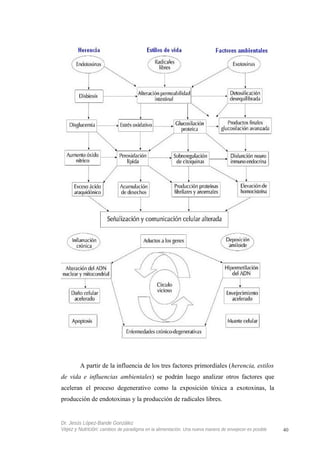 A partir de la influencia de los tres factores primordiales (herencia, estilos
de vida e influencias ambientales) se podrán luego analizar otros factores que
aceleran el proceso degenerativo como la exposición tóxica a exotoxinas, la
producción de endotoxinas y la producción de radicales libres.
Dr. Jesús López-Bande González
Vejez y Nutrición: cambios de paradigma en la alimentación. Una nueva manera de envejecer es posible 40
 