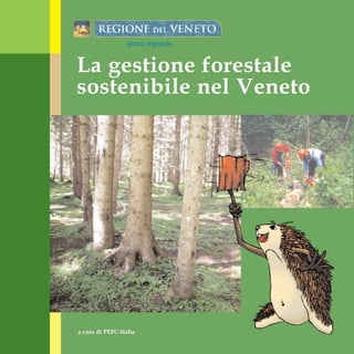 La gestione forestale
                  giunta regionale




sostenibile nel Veneto




a cura di PEFC-Italia
 
