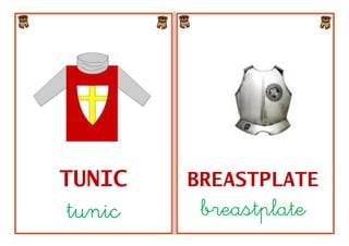 TUNIC   BREASTPLATE
tunic    breastplate
 