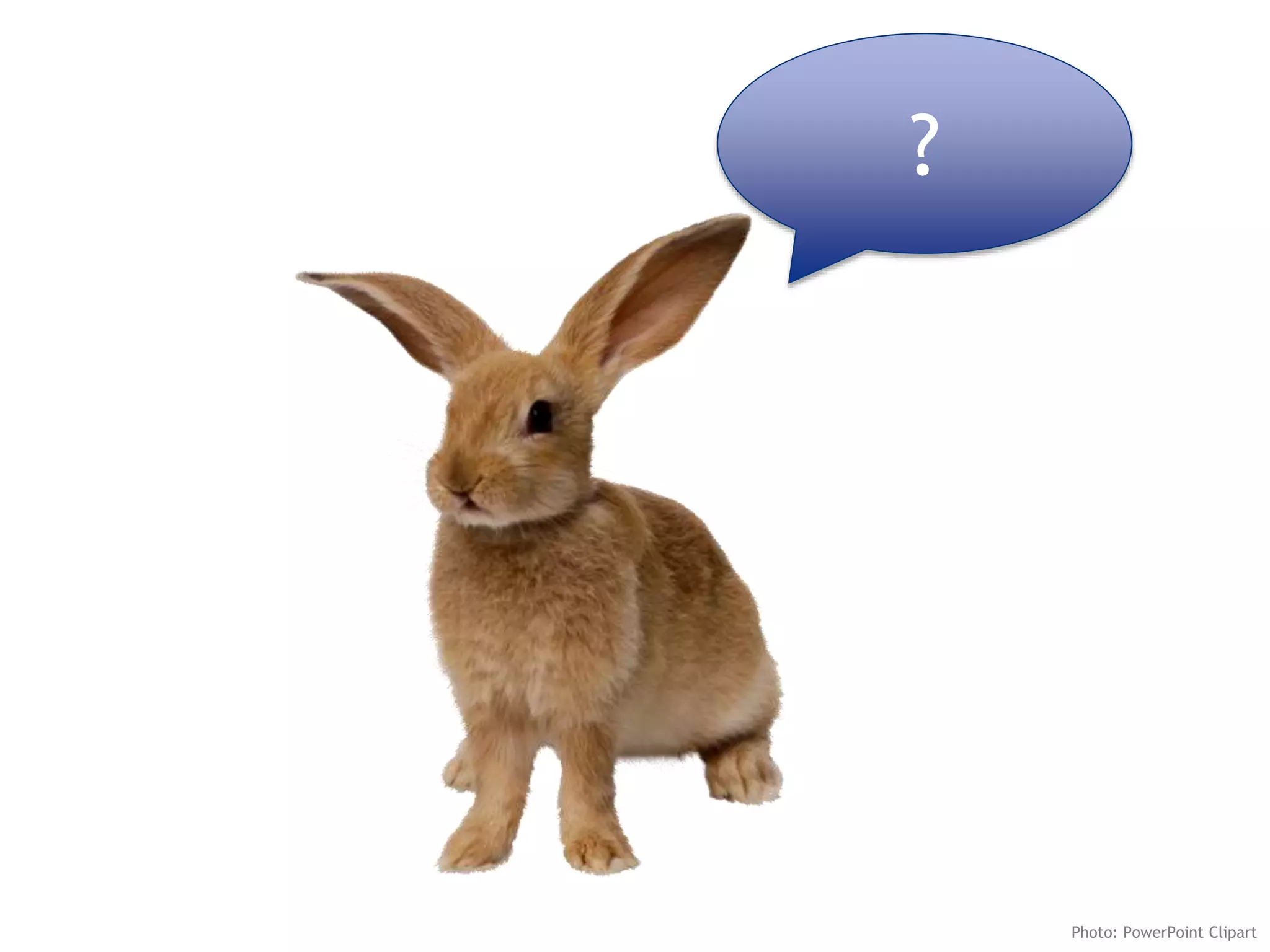 ?
Photo: PowerPoint Clipart
 