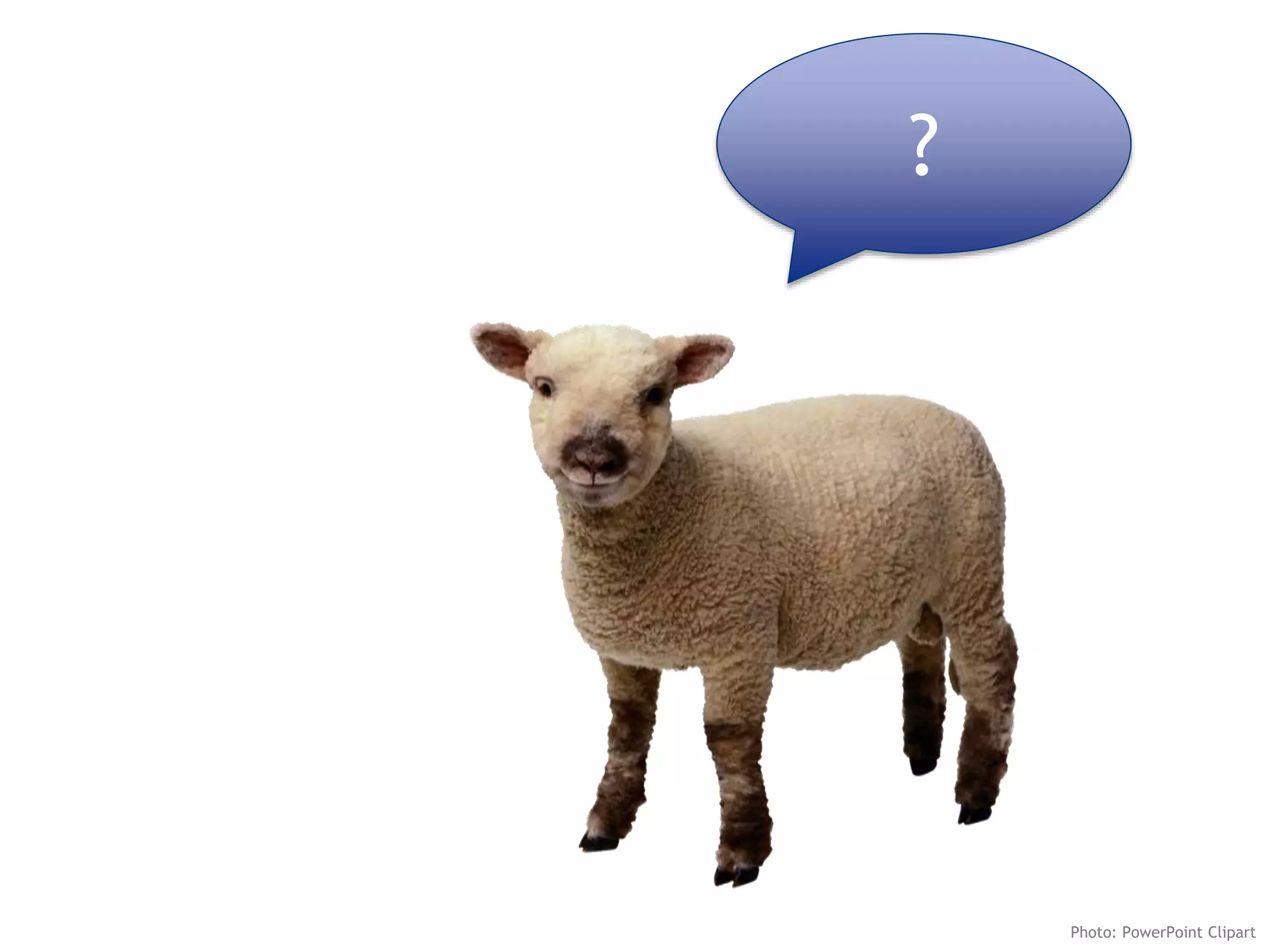 ?
Photo: PowerPoint Clipart
 