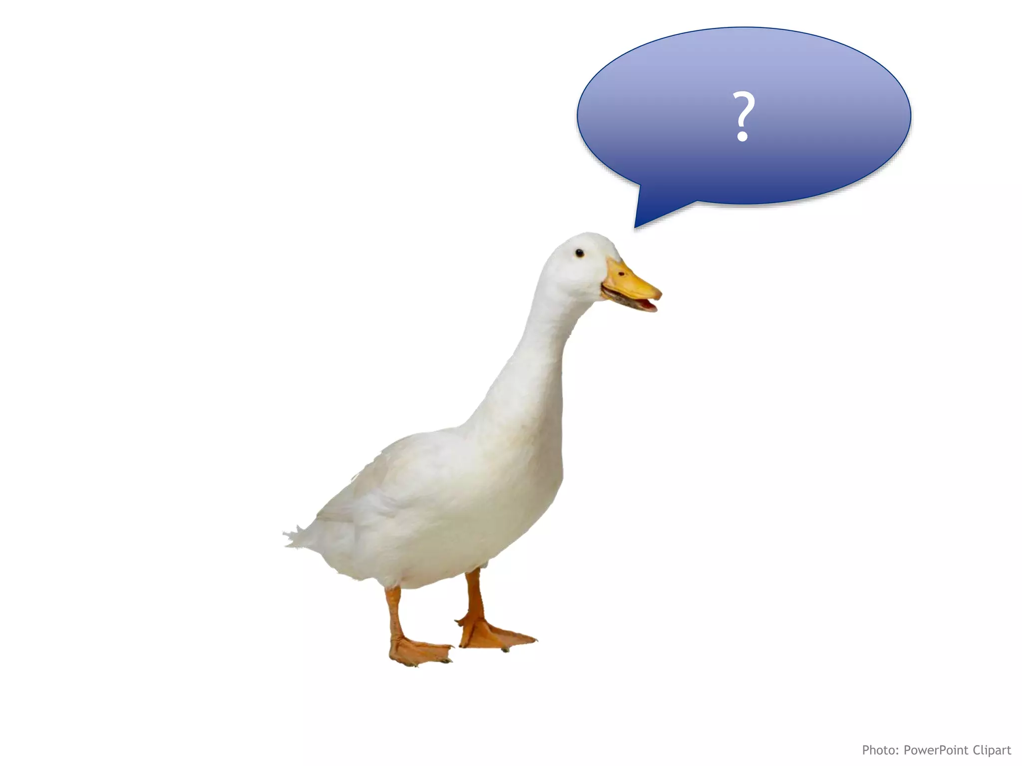 ?
Photo: PowerPoint Clipart
 