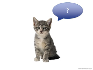 ?
Photo: PowerPoint Clipart
 