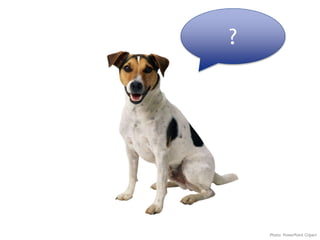 ?
Photo: PowerPoint Clipart
 