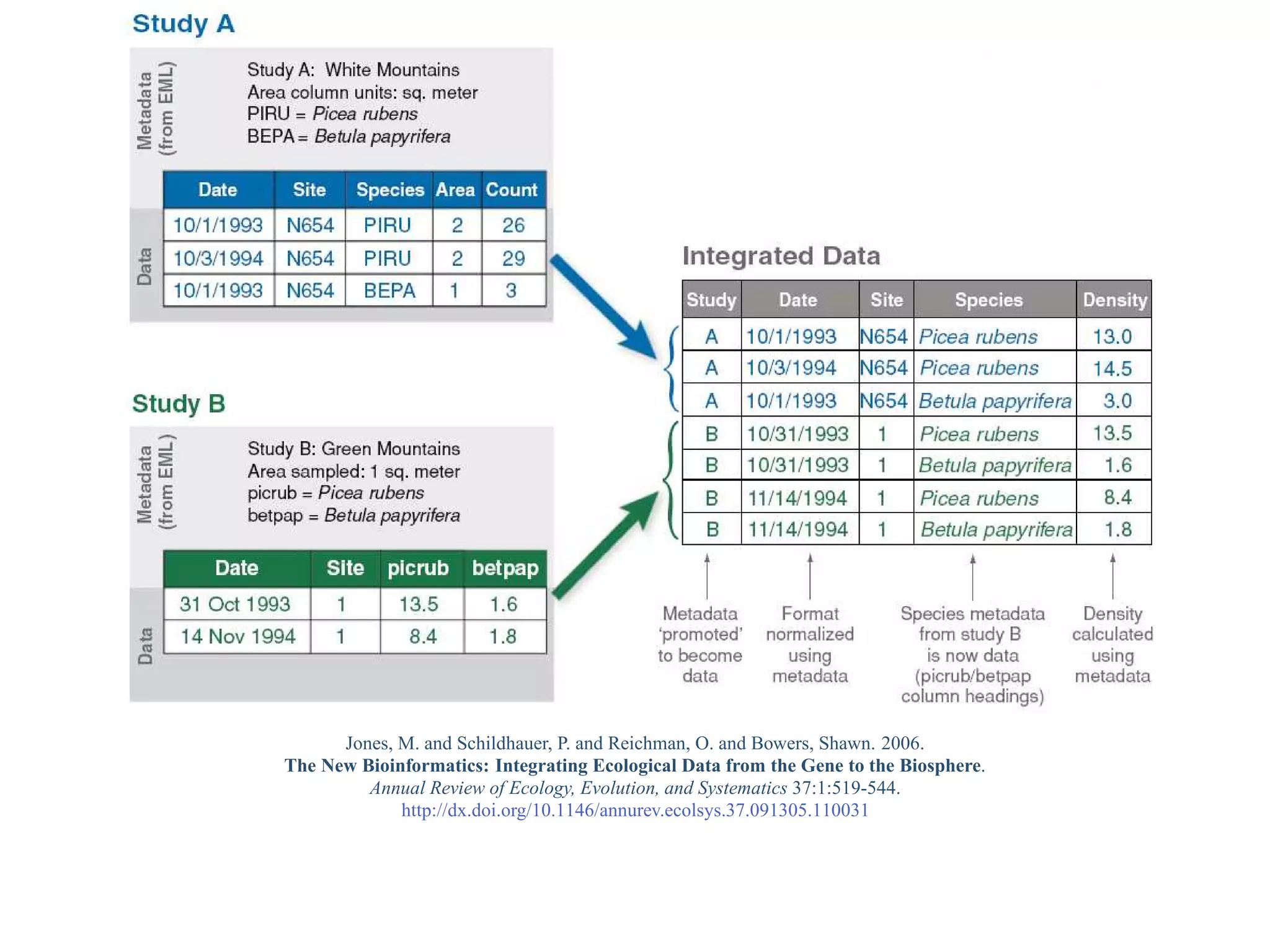 Jones, M. and Schildhauer, P. and Reichman, O. and Bowers, Shawn. 2006.
The New Bioinformatics: Integrating Ecological Data from the Gene to the Biosphere.
         Annual Review of Ecology, Evolution, and Systematics 37:1:519-544.
             http://dx.doi.org/10.1146/annurev.ecolsys.37.091305.110031
 