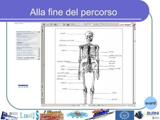 Alla fine del percorso avanti 